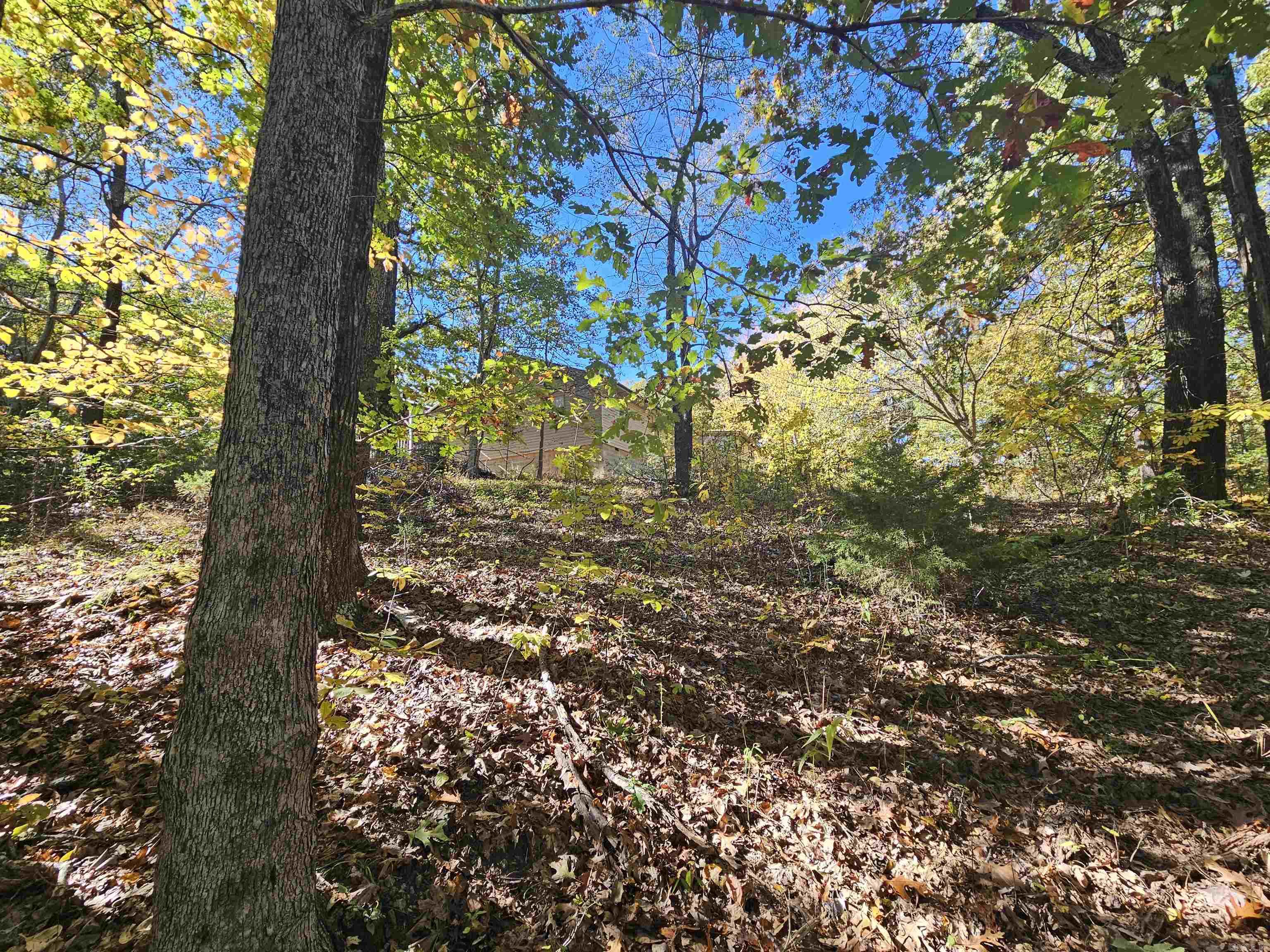 234 N Ridgeway Way Marshall, AR 72650