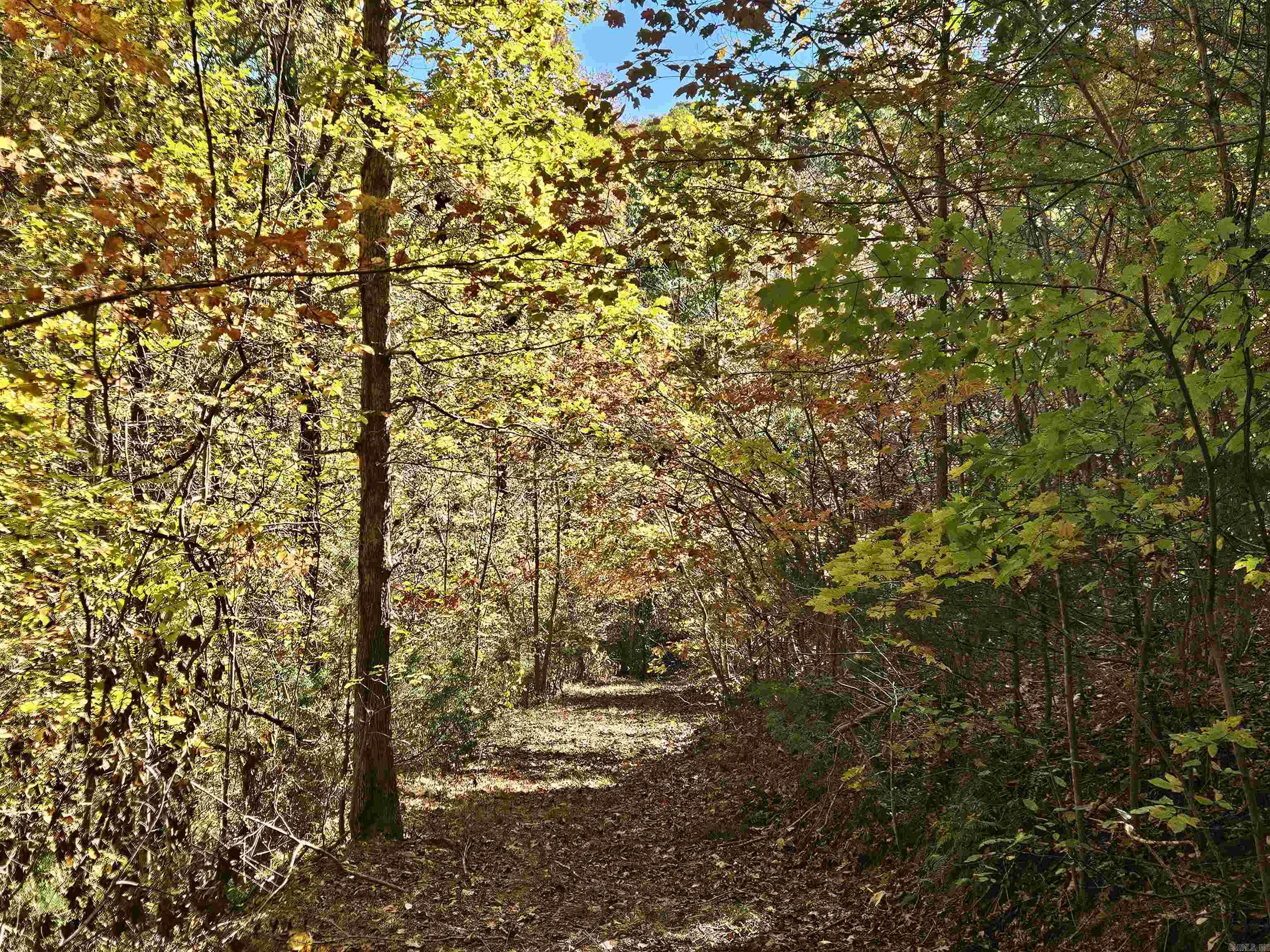 234 N Ridgeway Way Marshall, AR 72650