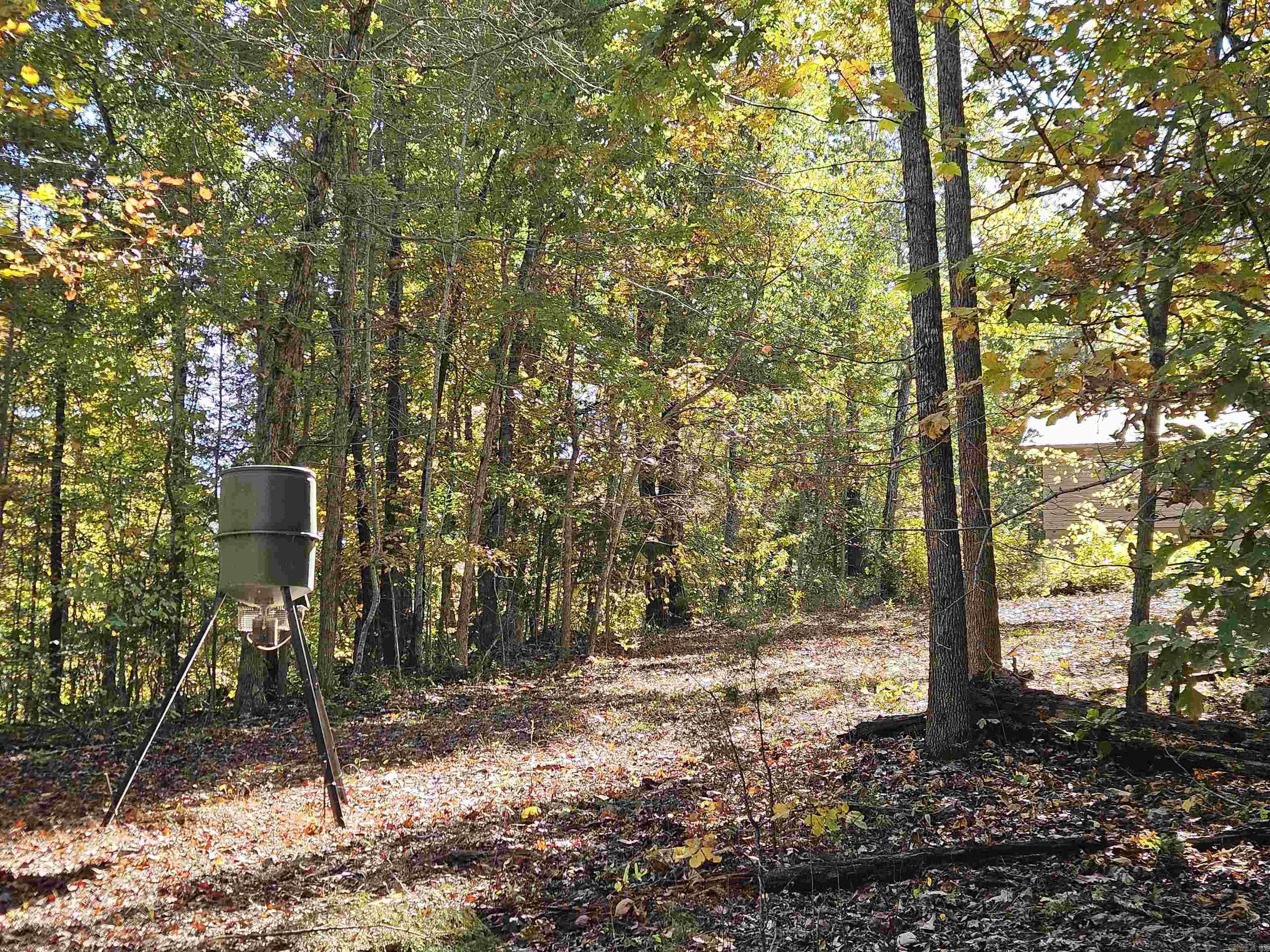 234 N Ridgeway Way Marshall, AR 72650