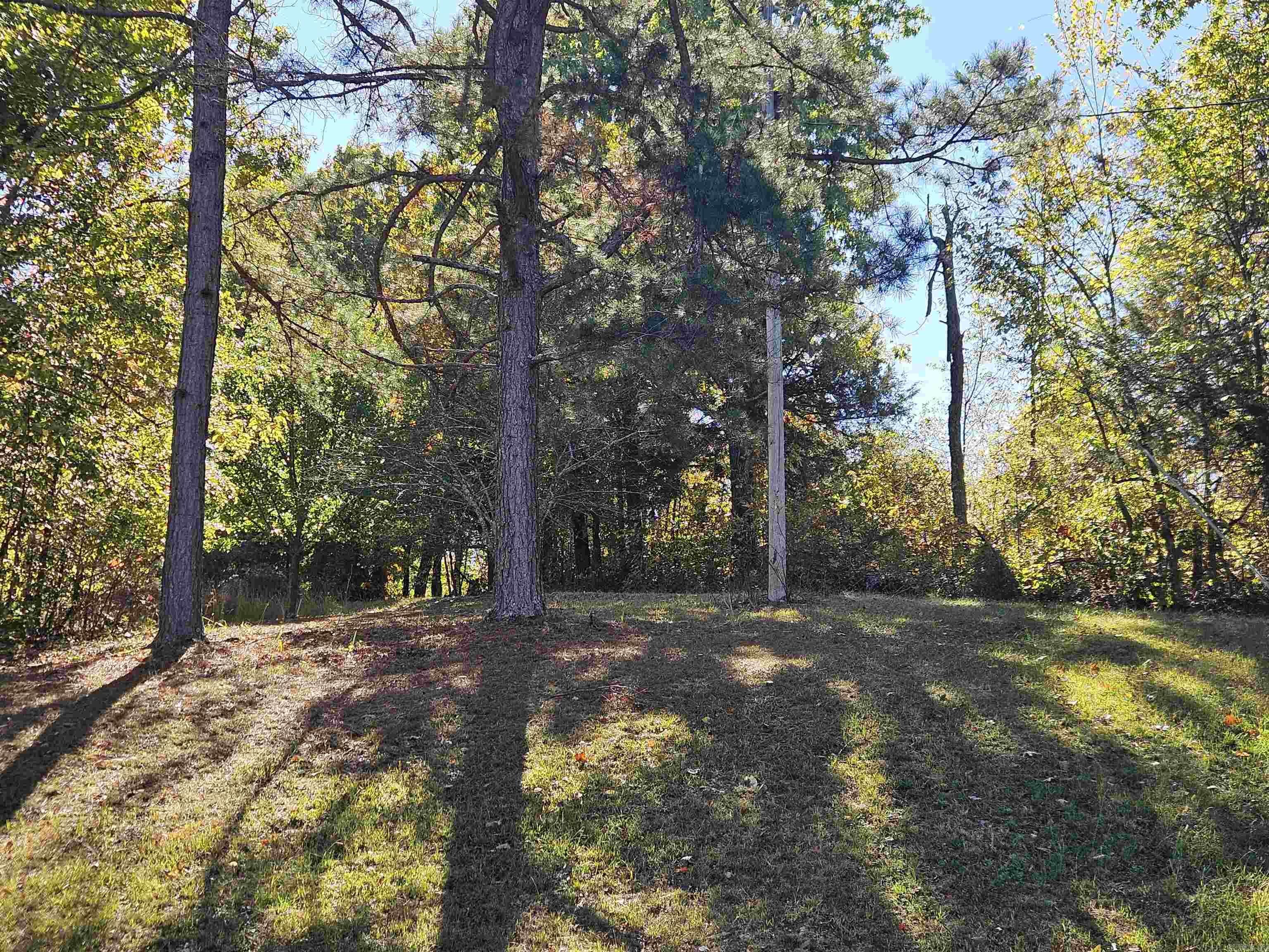 234 N Ridgeway Way Marshall, AR 72650