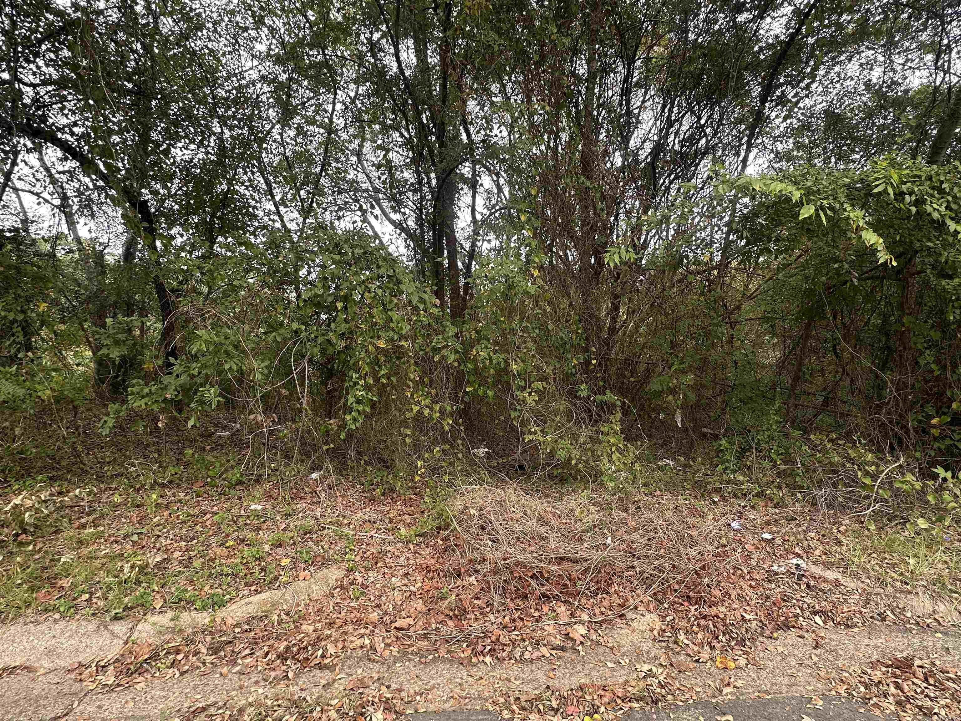 310 Johnson  Camden, AR