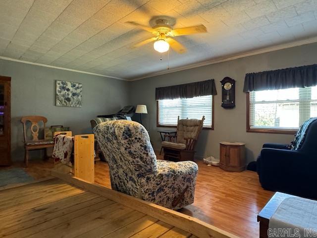 8673 Highway 251  Pocahontas, AR