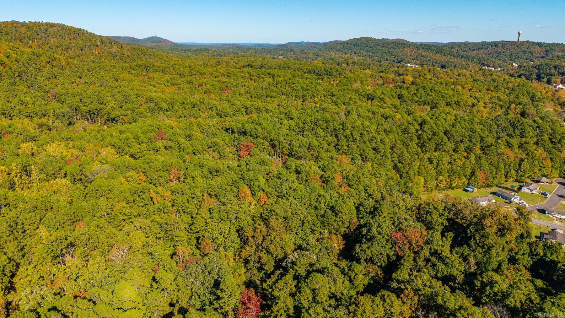 000 Vivian Street  Hot Springs, AR