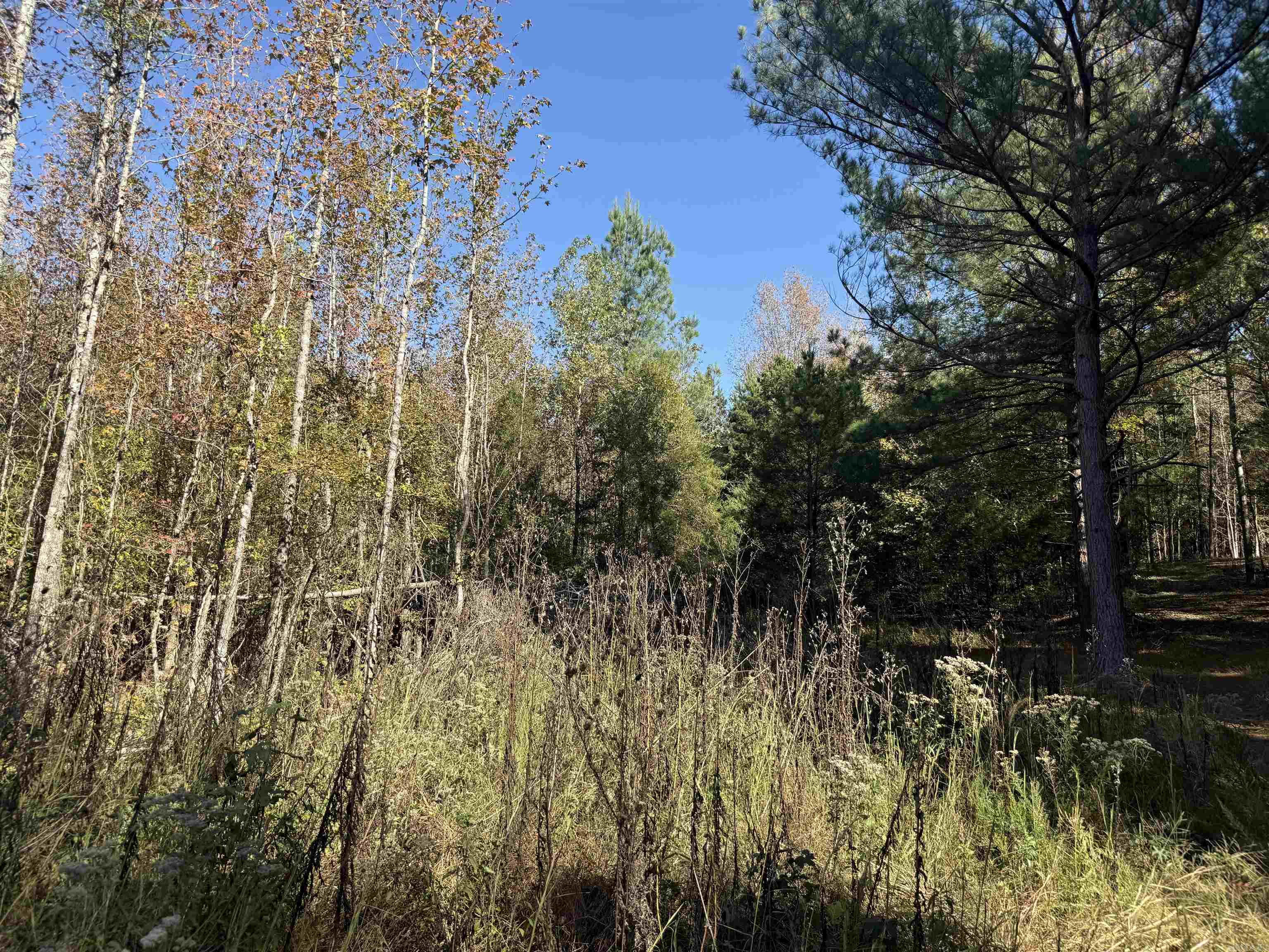 9.57 acres Greene 756  Paragould, AR