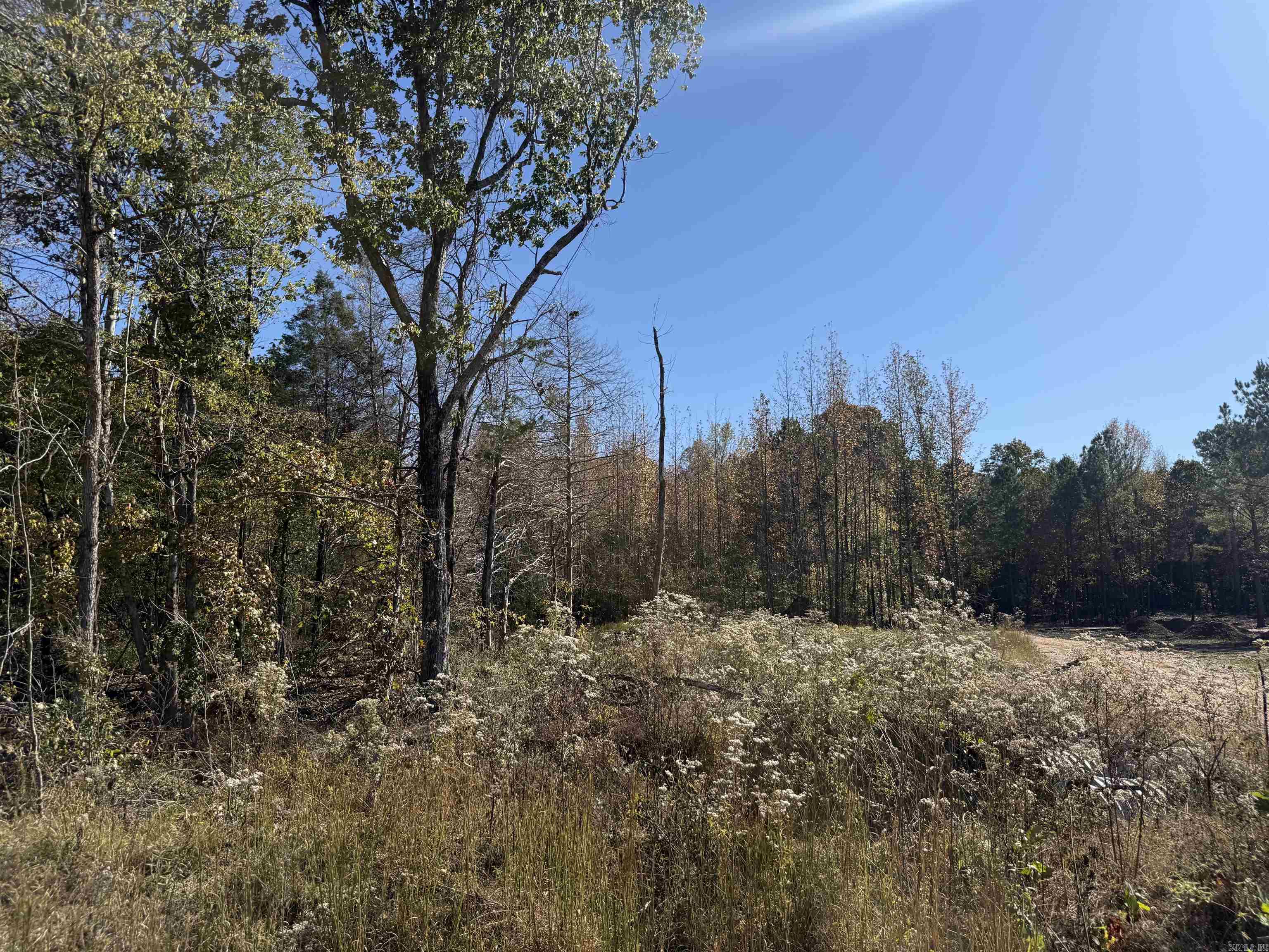 9.57 acres Greene 756  Paragould, AR