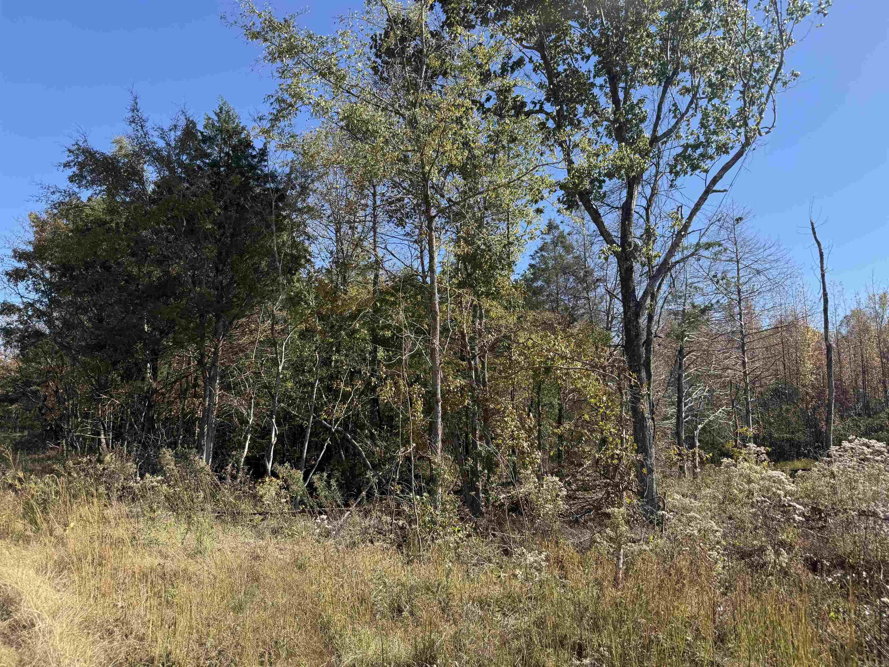 9.57 acres Greene 756  Paragould, AR