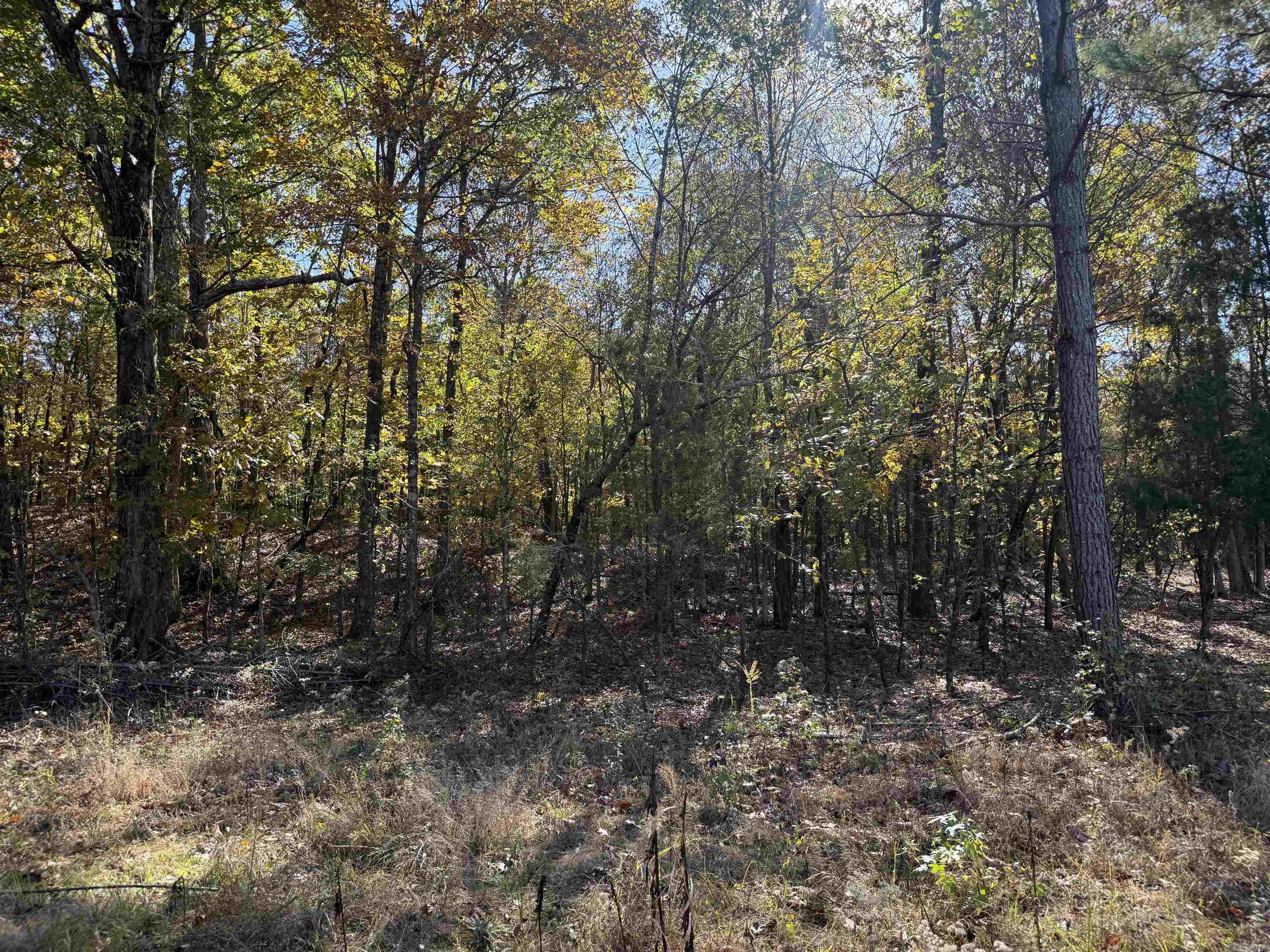 9.57 acres Greene 756  Paragould, AR