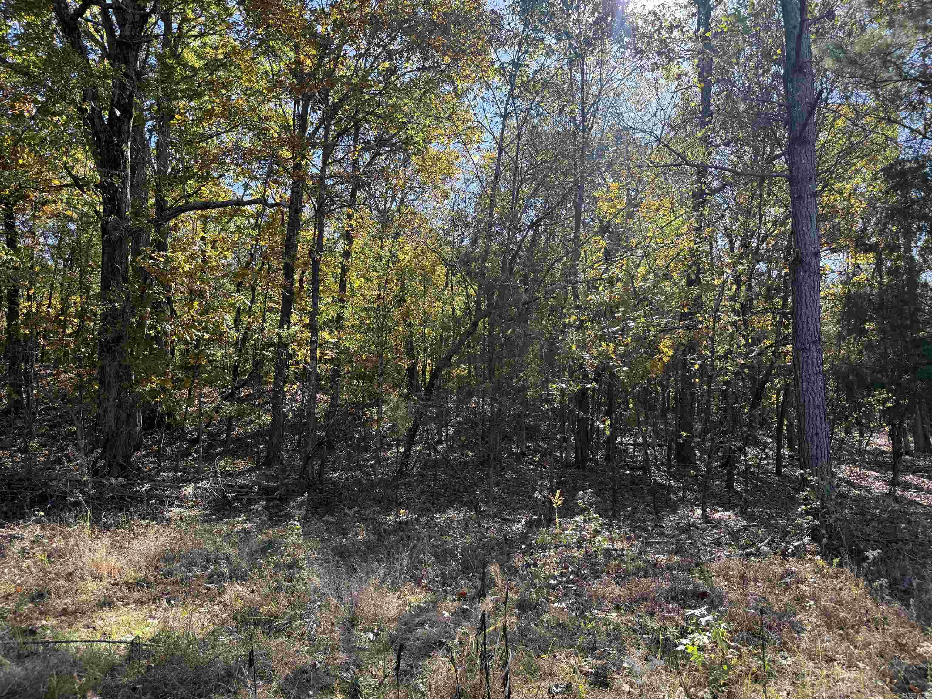 9.57 acres Greene 756  Paragould, AR