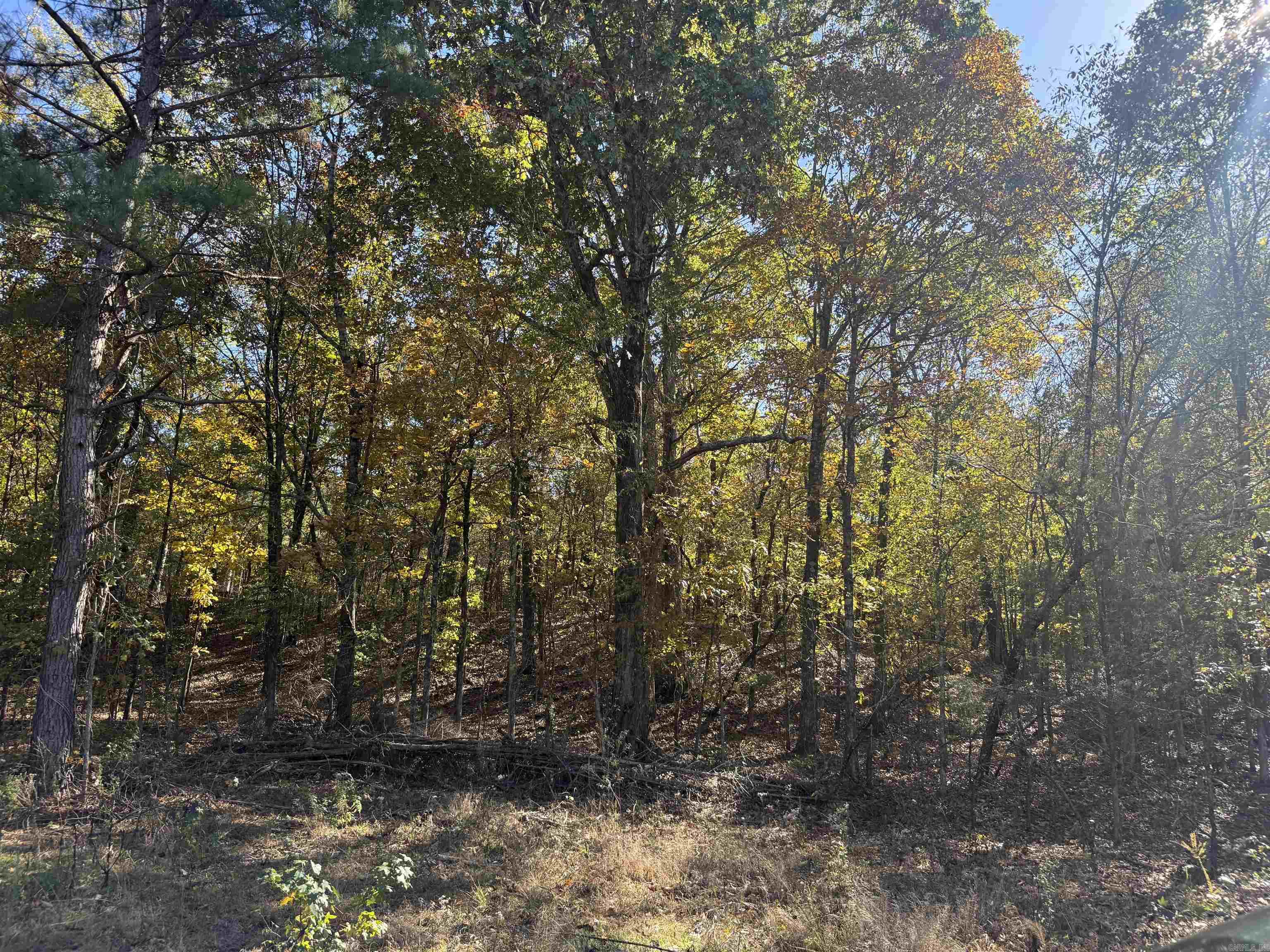 9.57 acres Greene 756  Paragould, AR