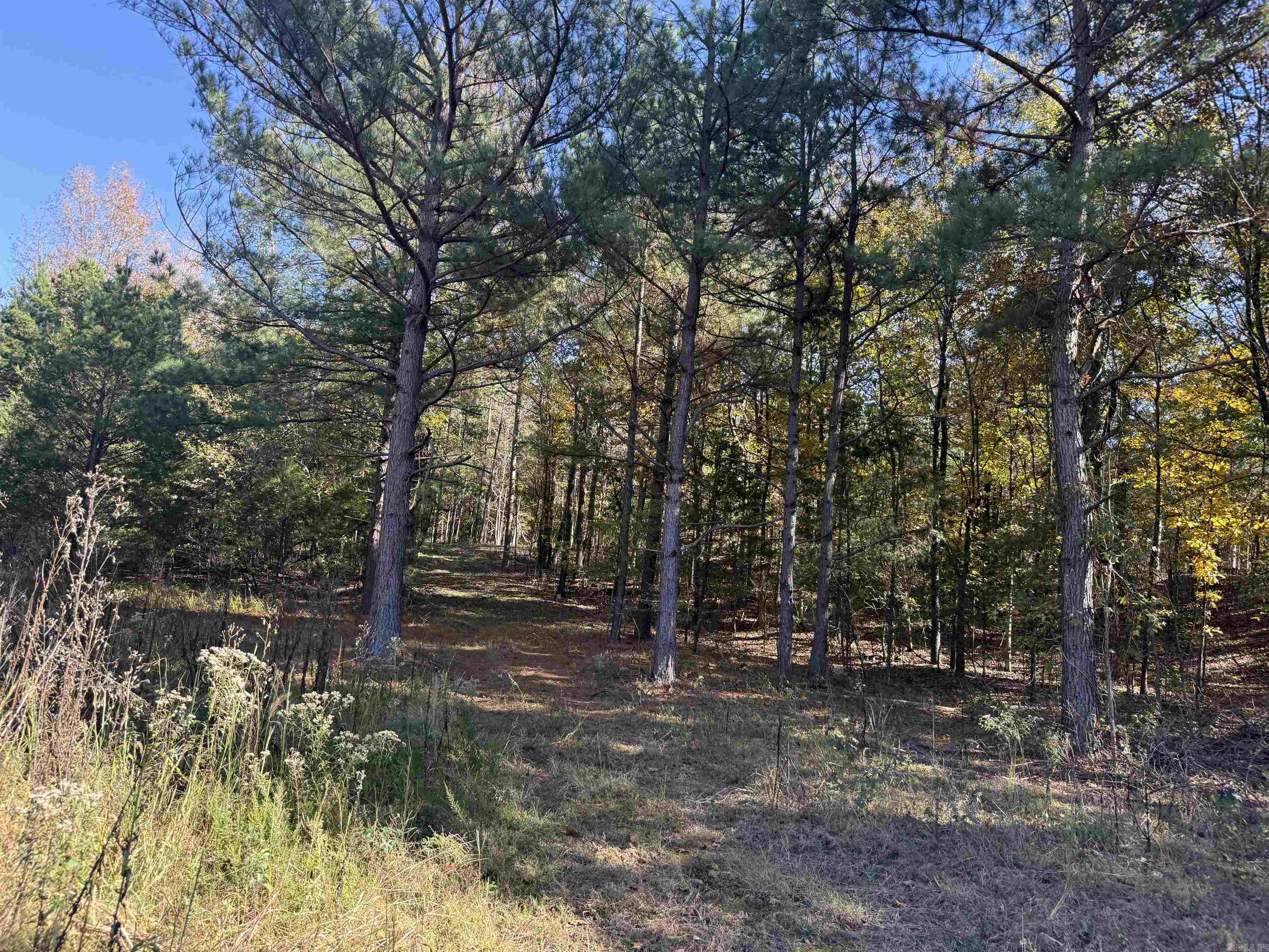 9.57 acres Greene 756  Paragould, AR