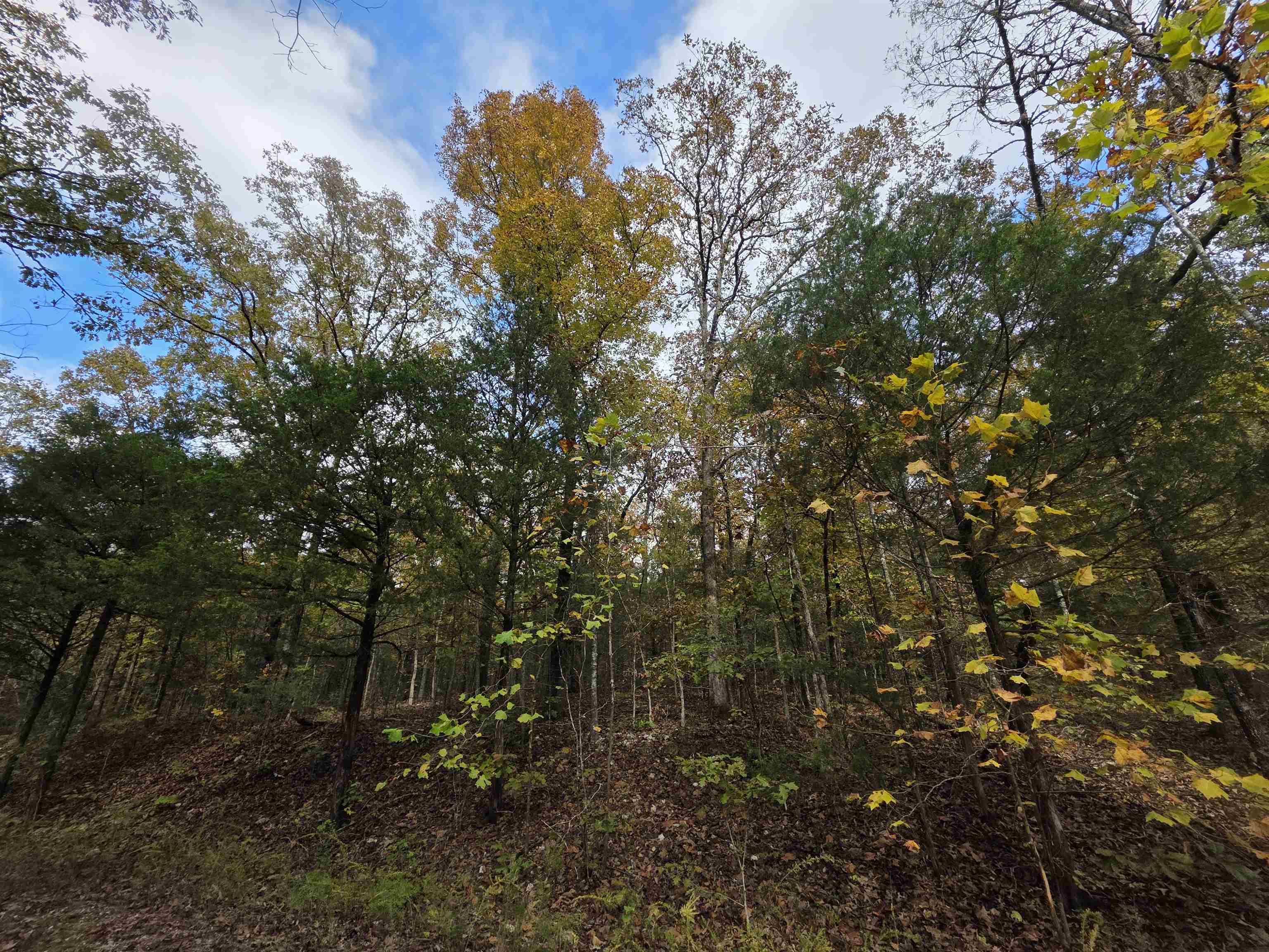 L-5,6 B- 3 Apoxsee  Cherokee Village, AR