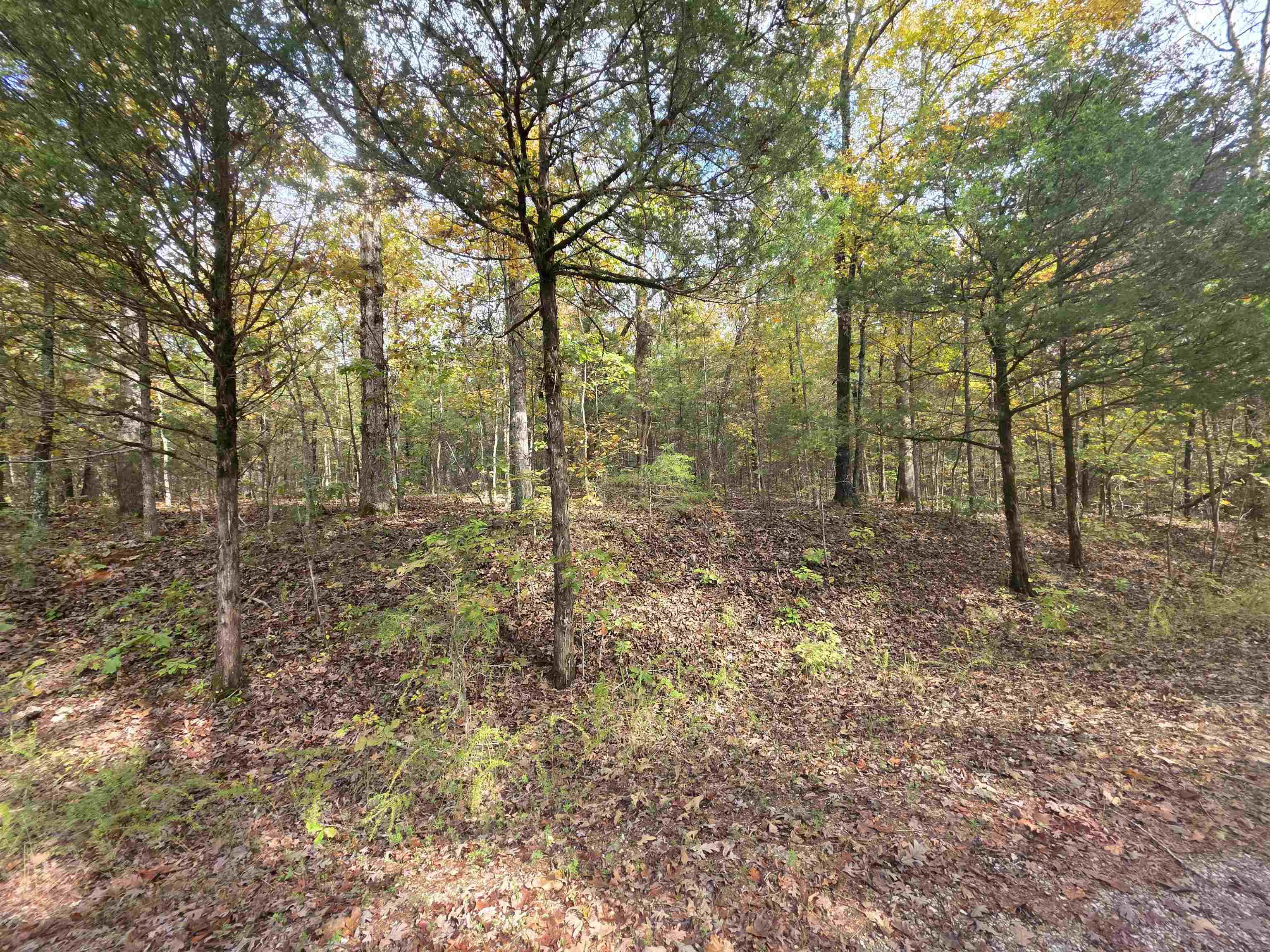L-5,6 B- 3 Apoxsee  Cherokee Village, AR