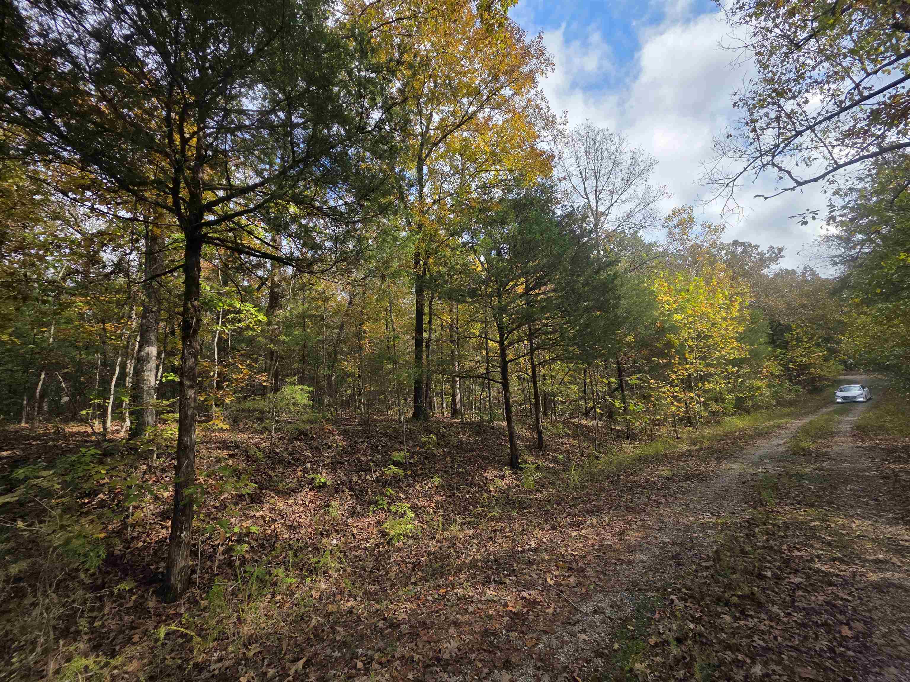 L-5,6 B- 3 Apoxsee  Cherokee Village, AR