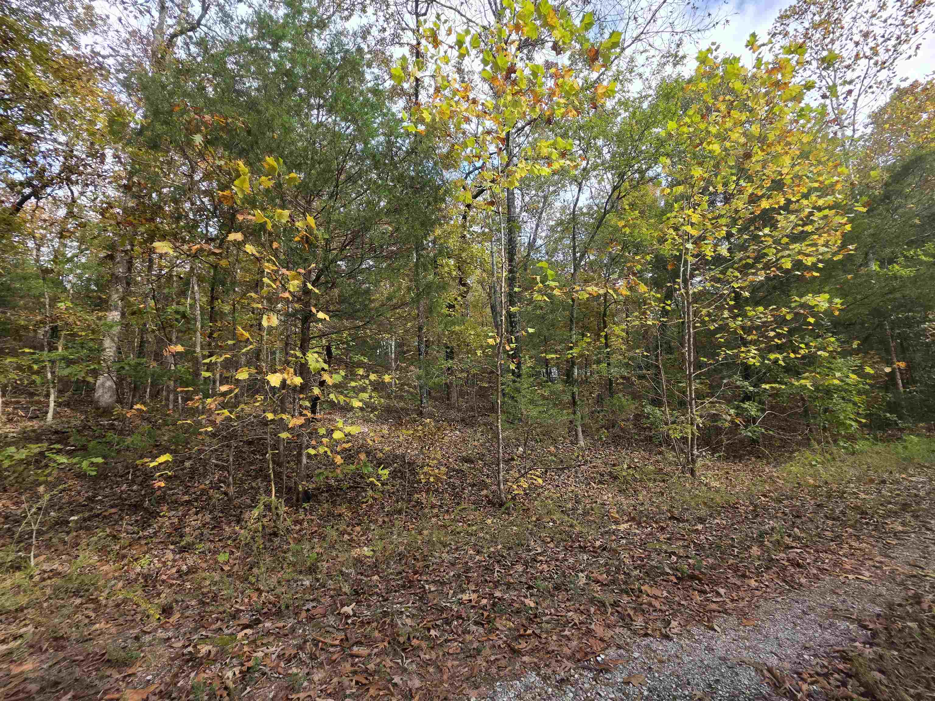 L-5,6 B- 3 Apoxsee  Cherokee Village, AR