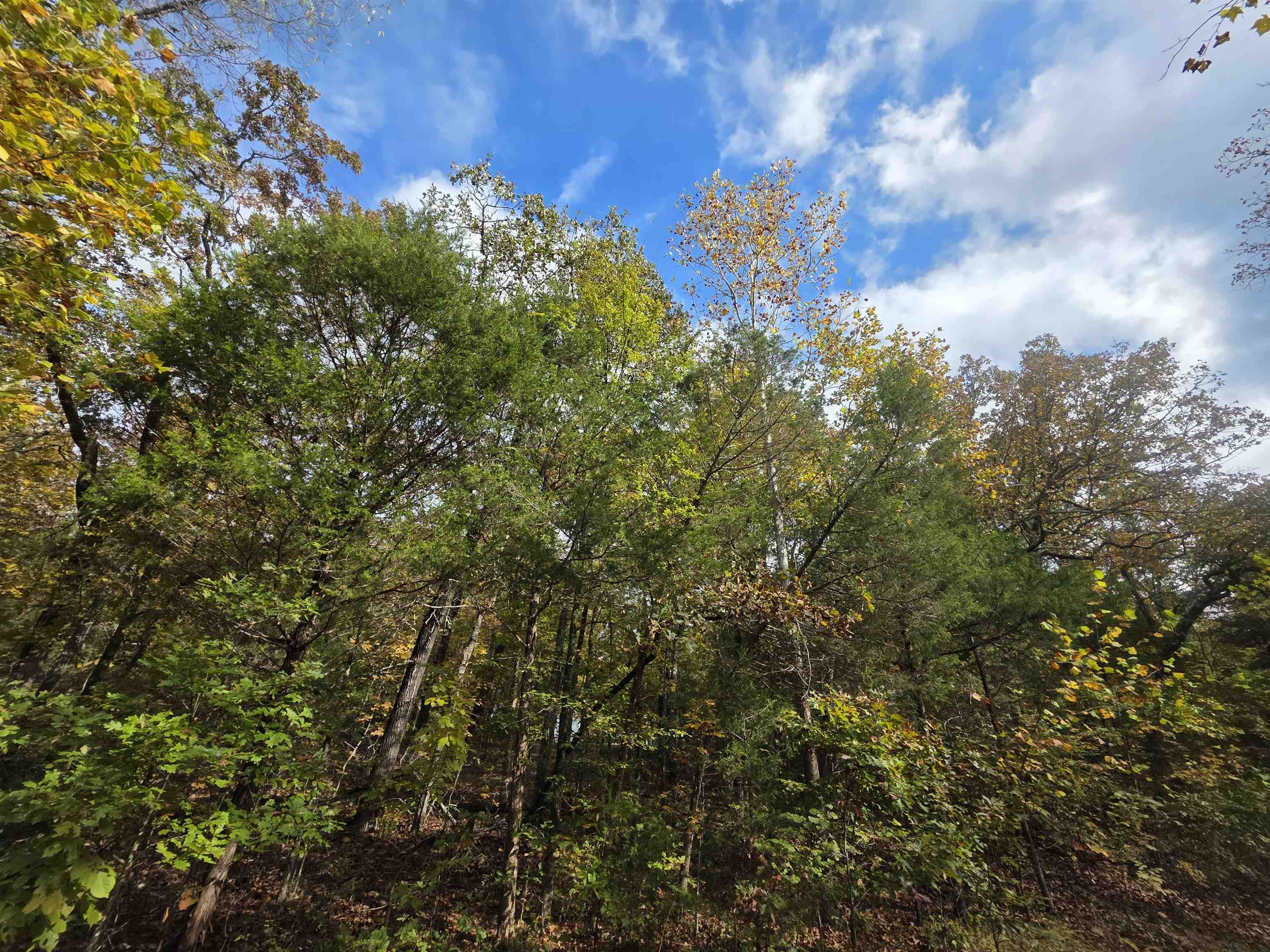 L-5,6 B- 3 Apoxsee  Cherokee Village, AR