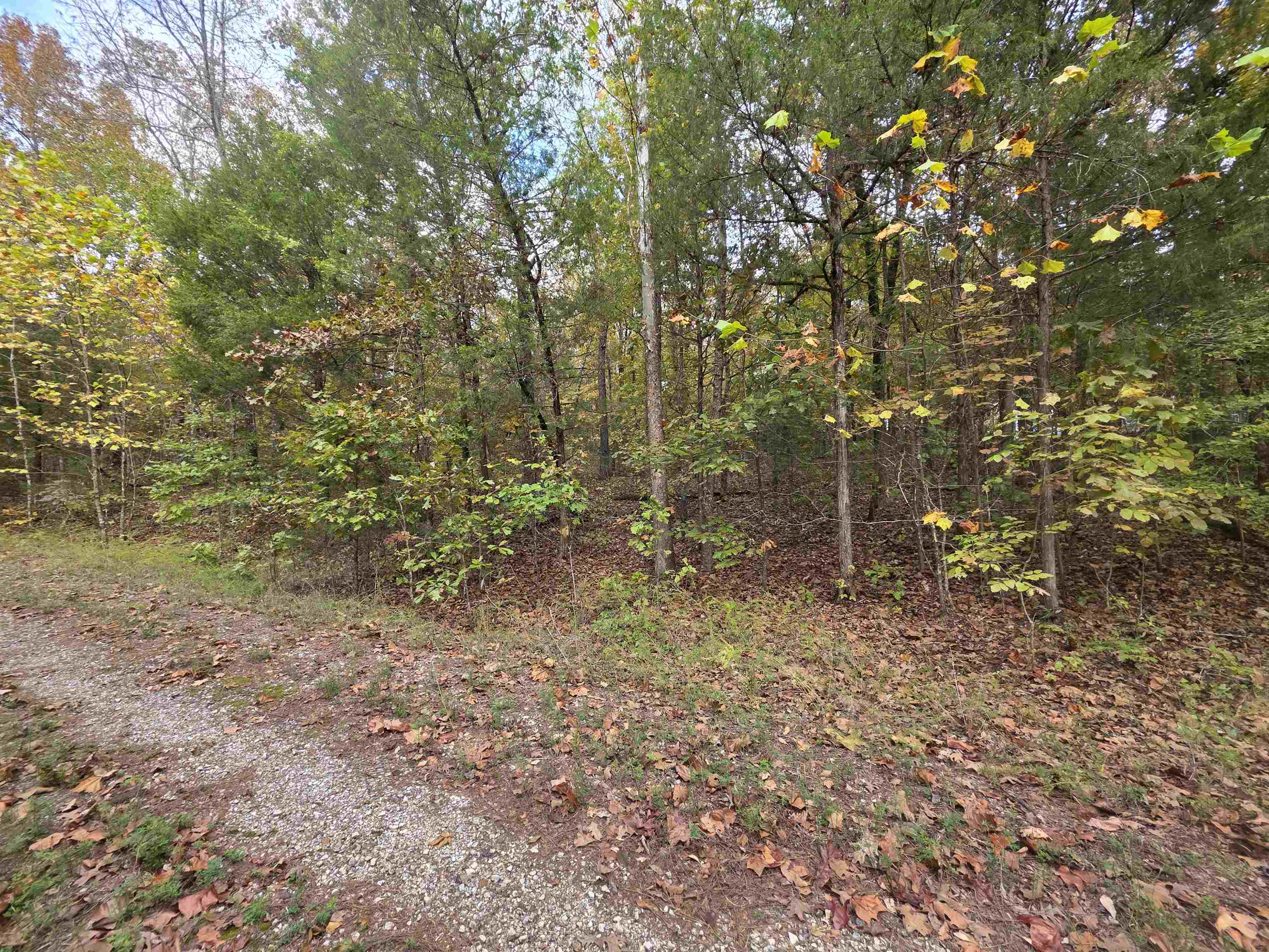 L-5,6 B- 3 Apoxsee  Cherokee Village, AR