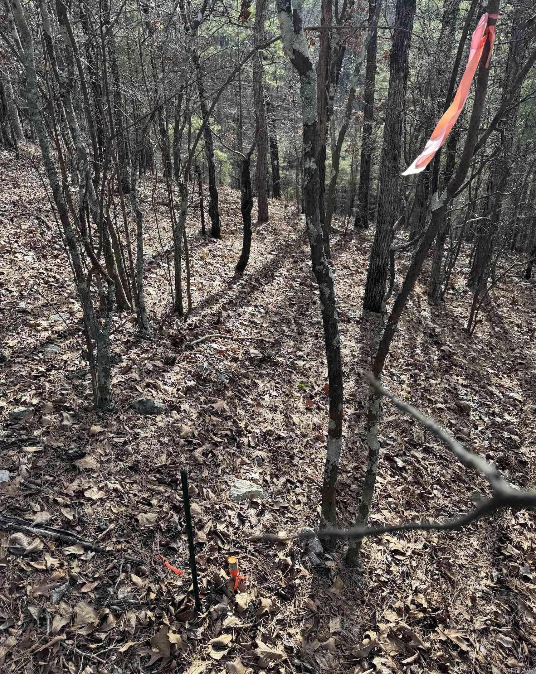 106 Rhonda Ann Place Hot Springs Village, AR 71909