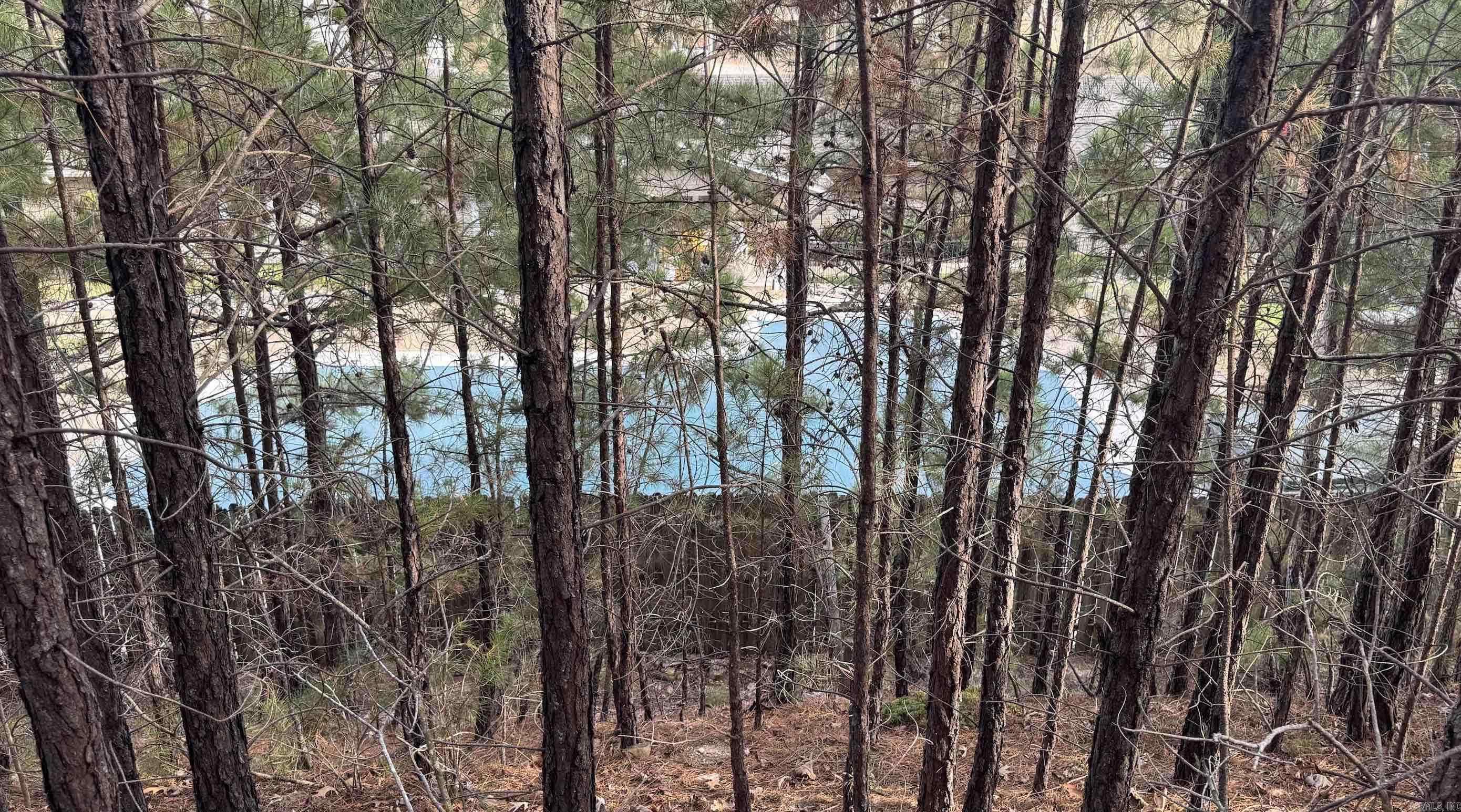 106 Rhonda Ann Place Hot Springs Village, AR 71909