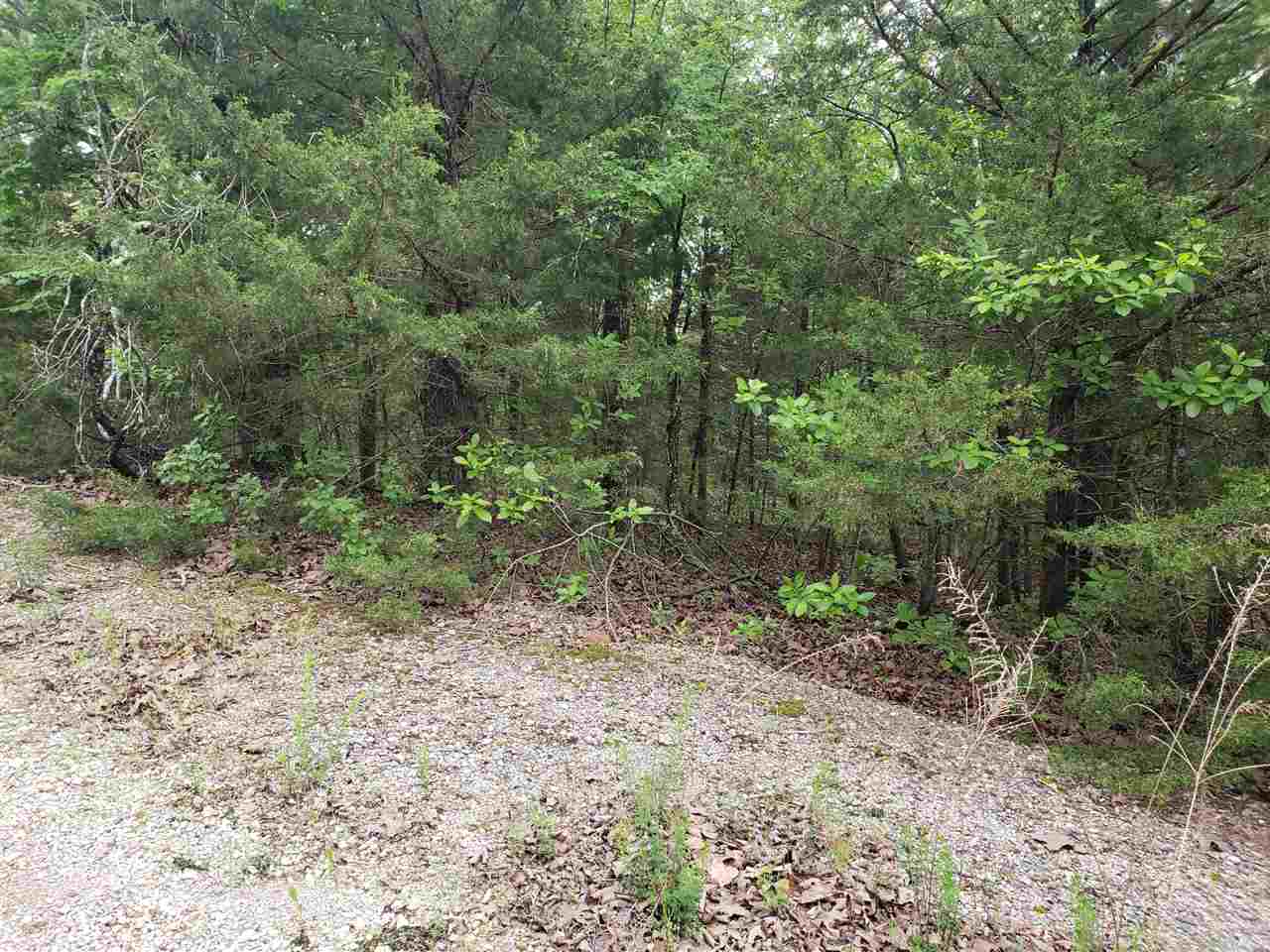 L-8 B-11 Micco  Cherokee Village, AR