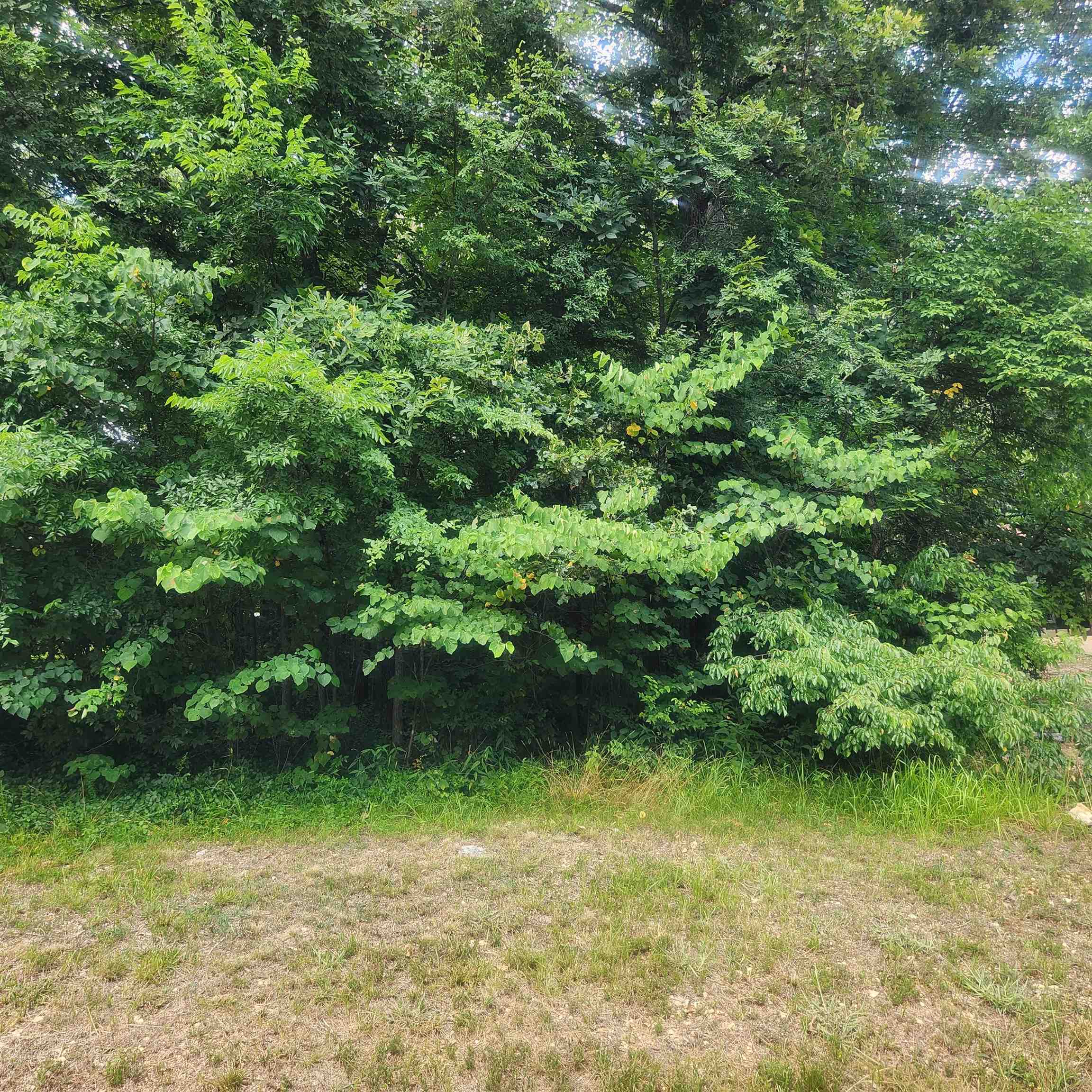 L-36, B-14 Cochise  Cherokee Village, AR