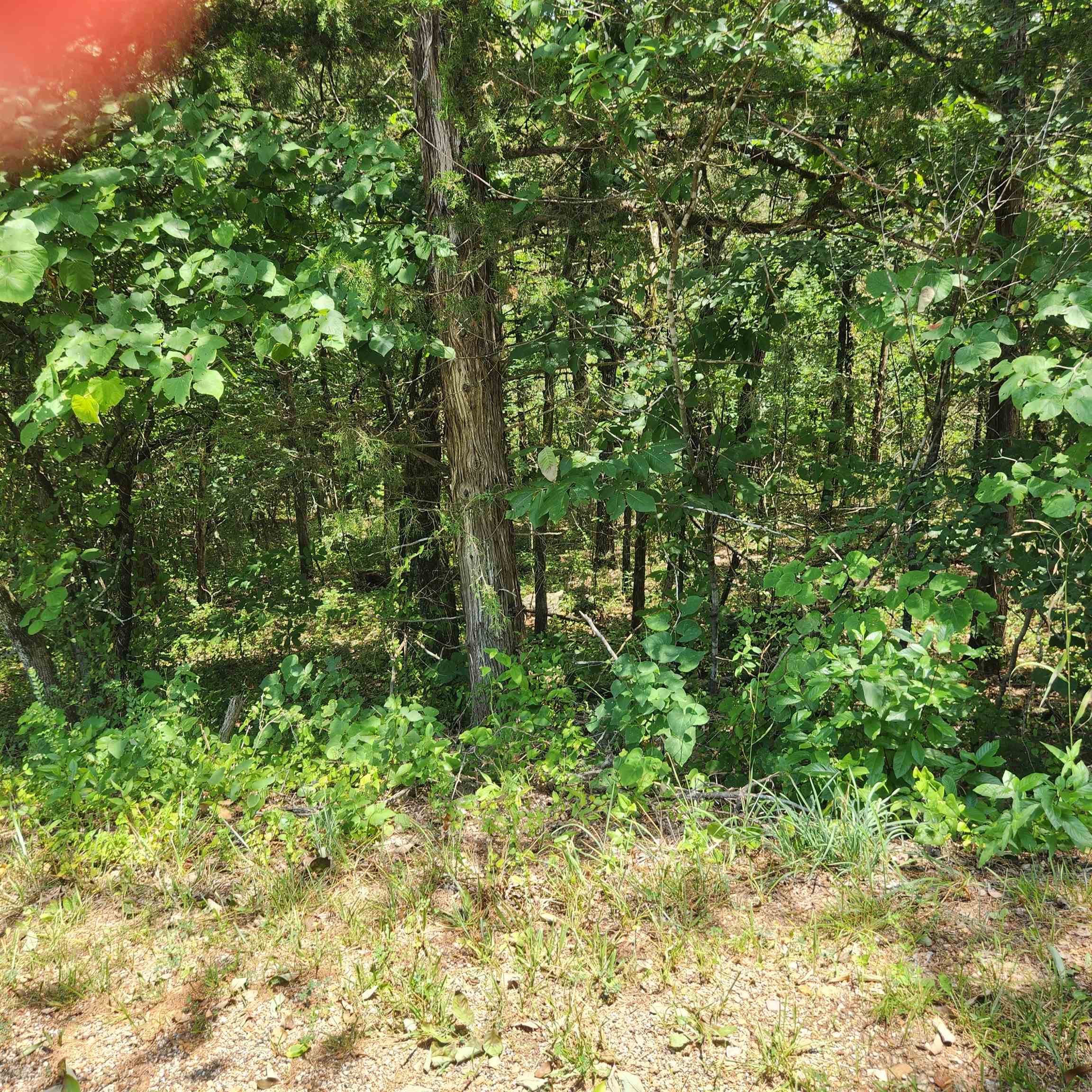 L-25, B-13A Altakima  Cherokee Village, AR