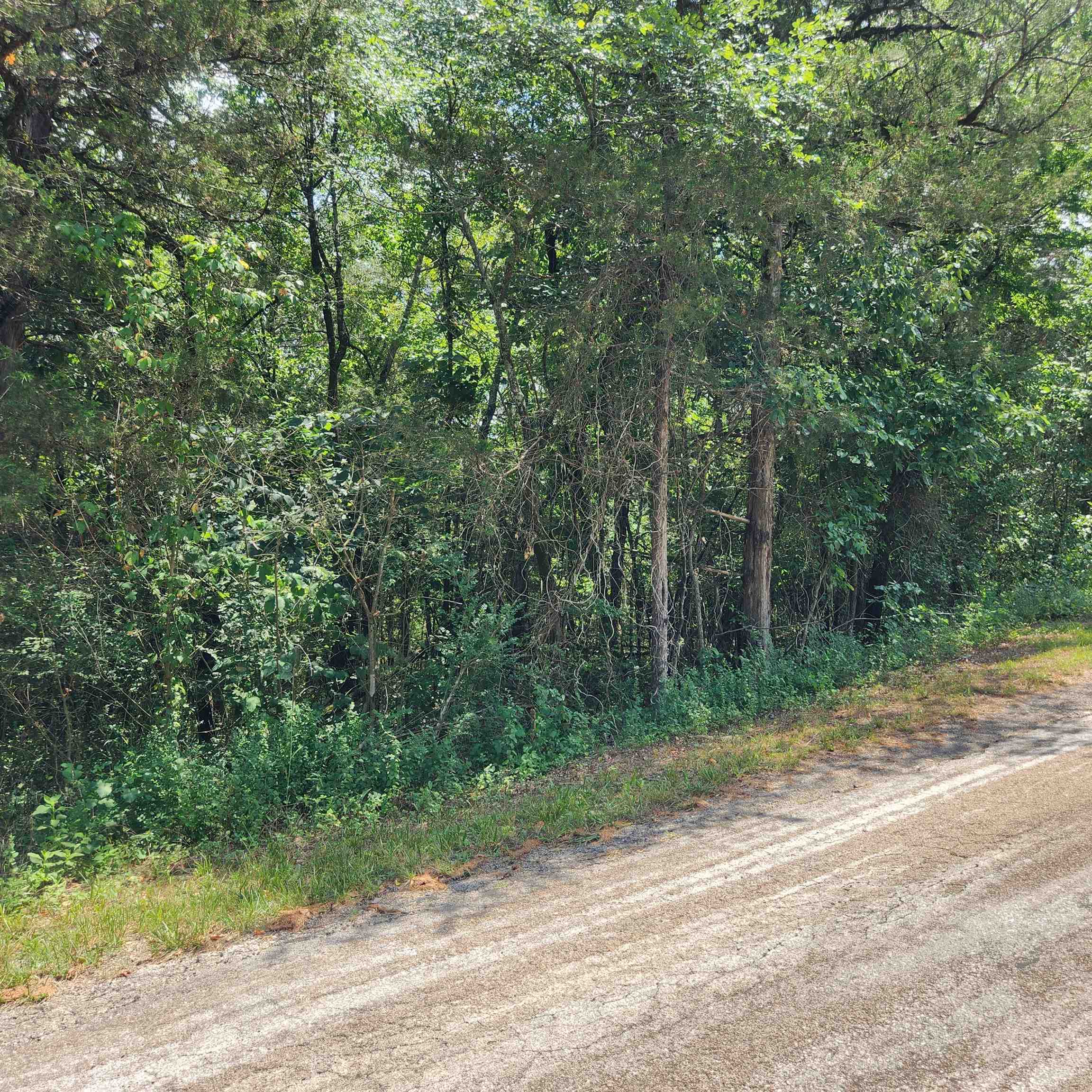 L-25, B-13A Altakima  Cherokee Village, AR