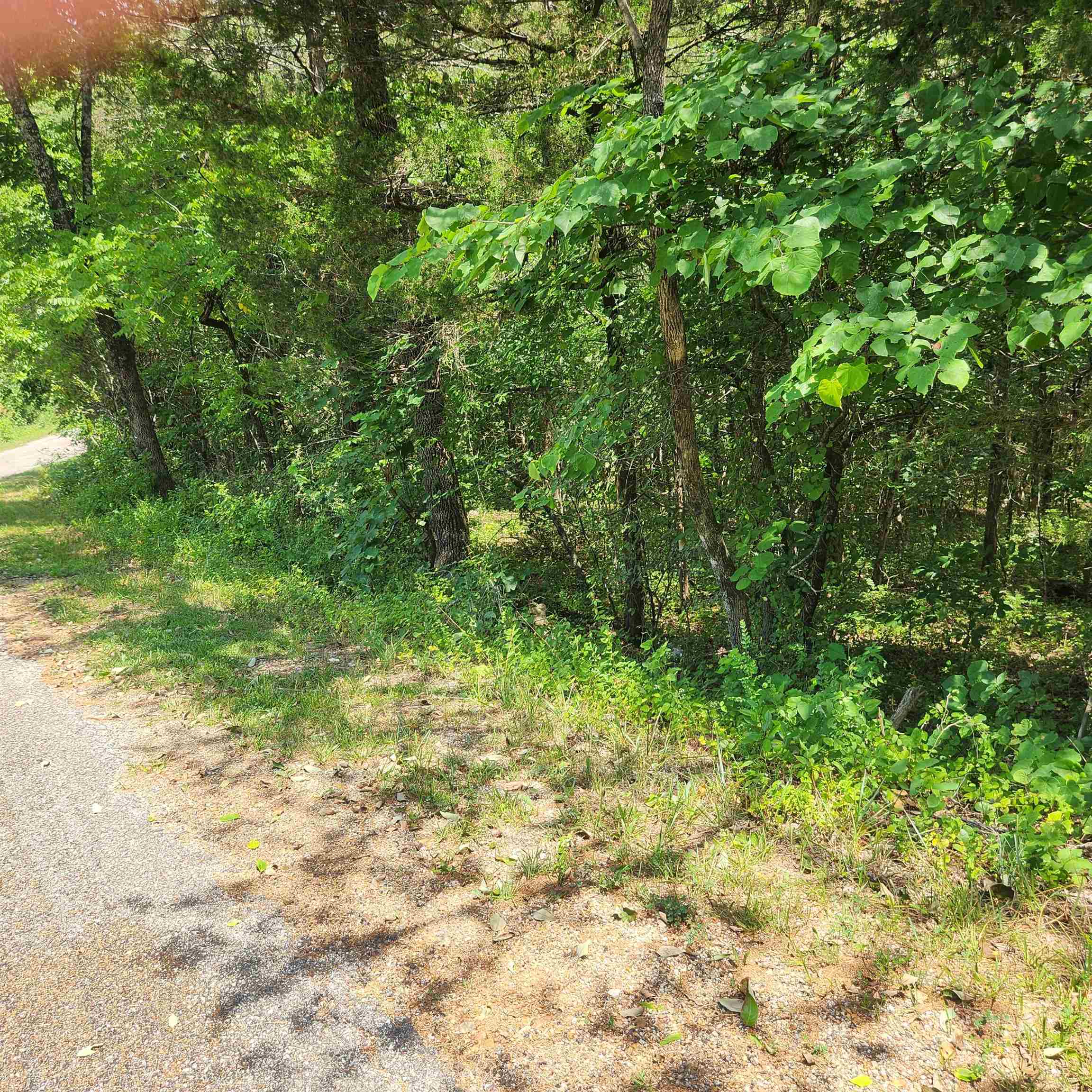 L-25, B-13A Altakima  Cherokee Village, AR