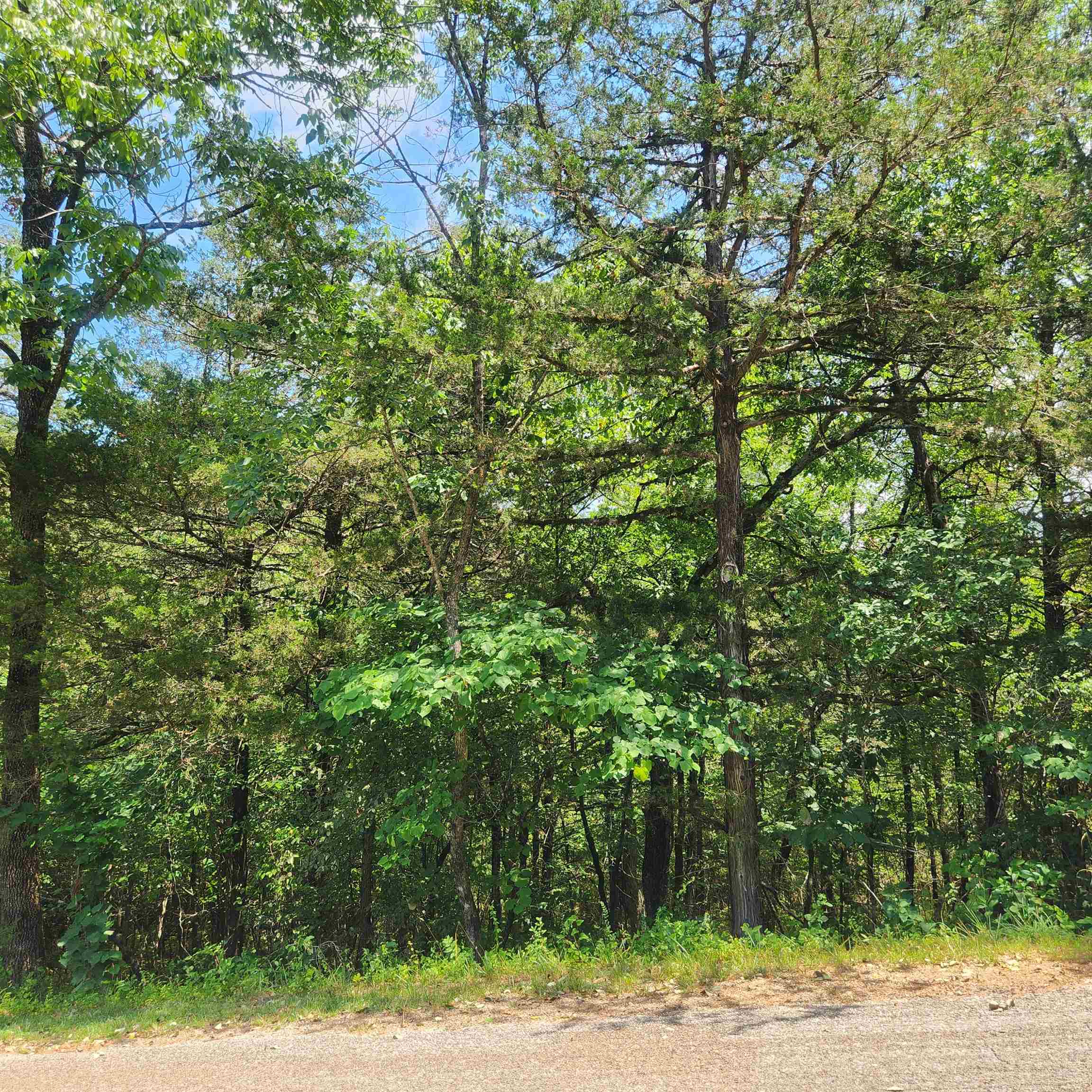 L-25, B-13A Altakima  Cherokee Village, AR