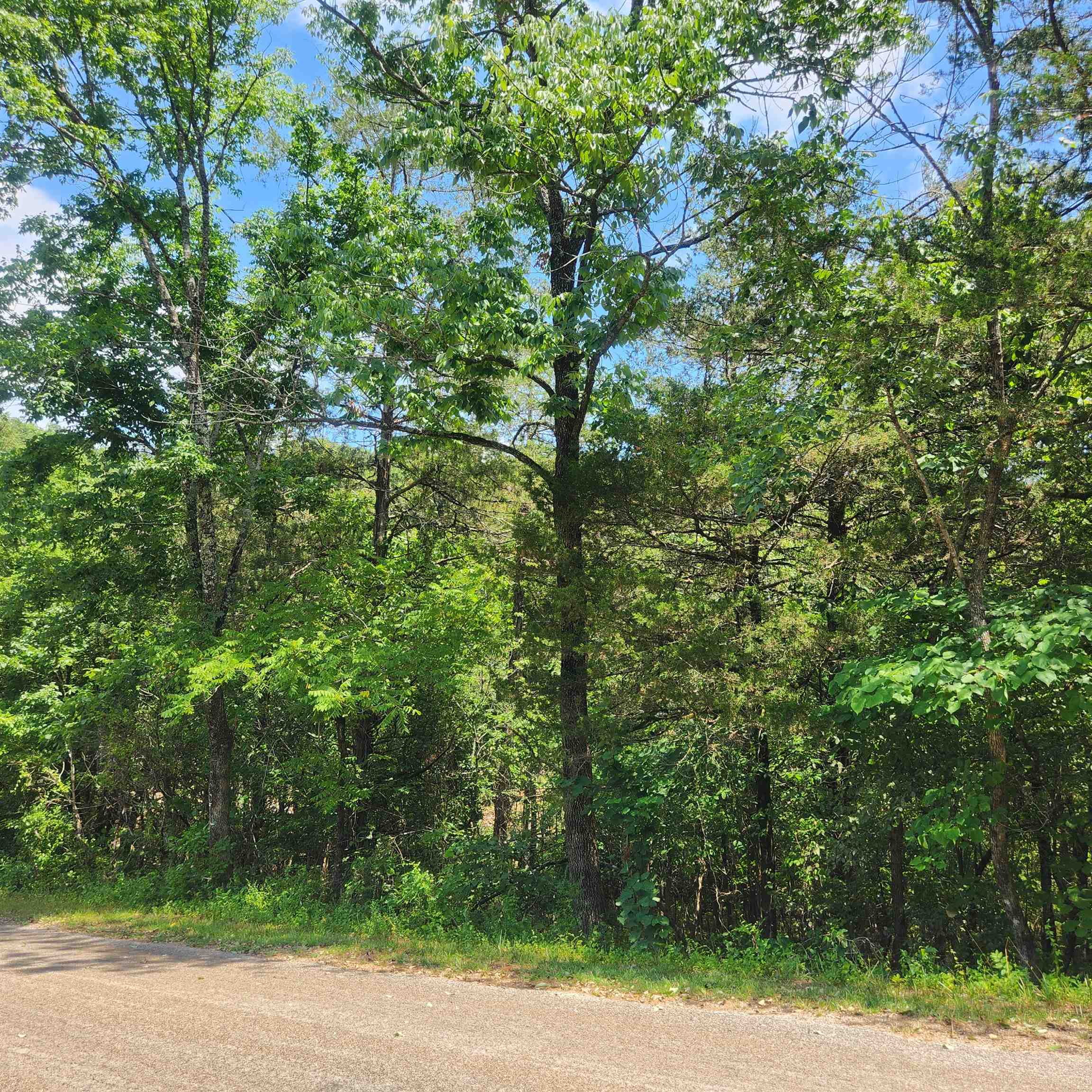 L-25, B-13A Altakima  Cherokee Village, AR