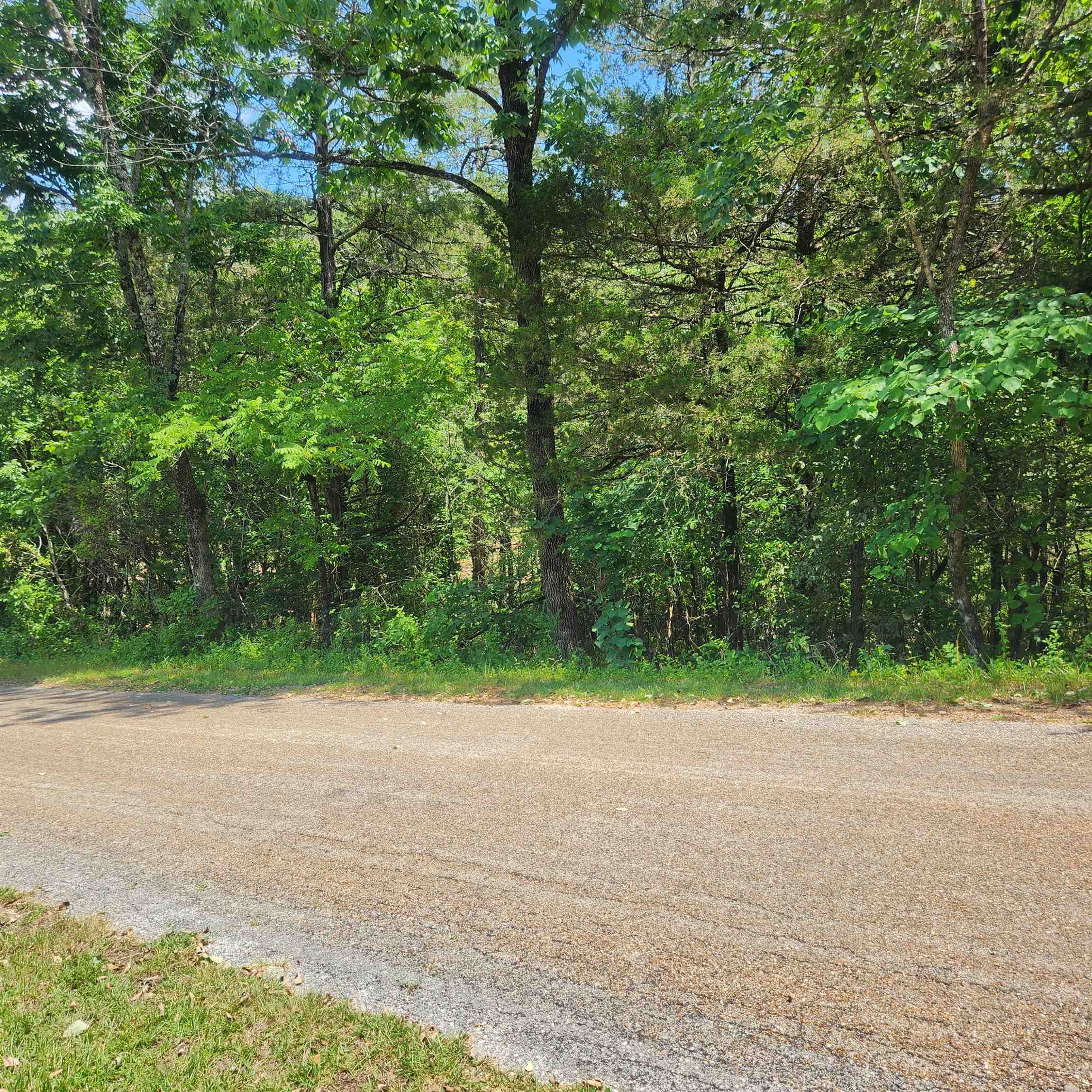 L-25, B-13A Altakima  Cherokee Village, AR