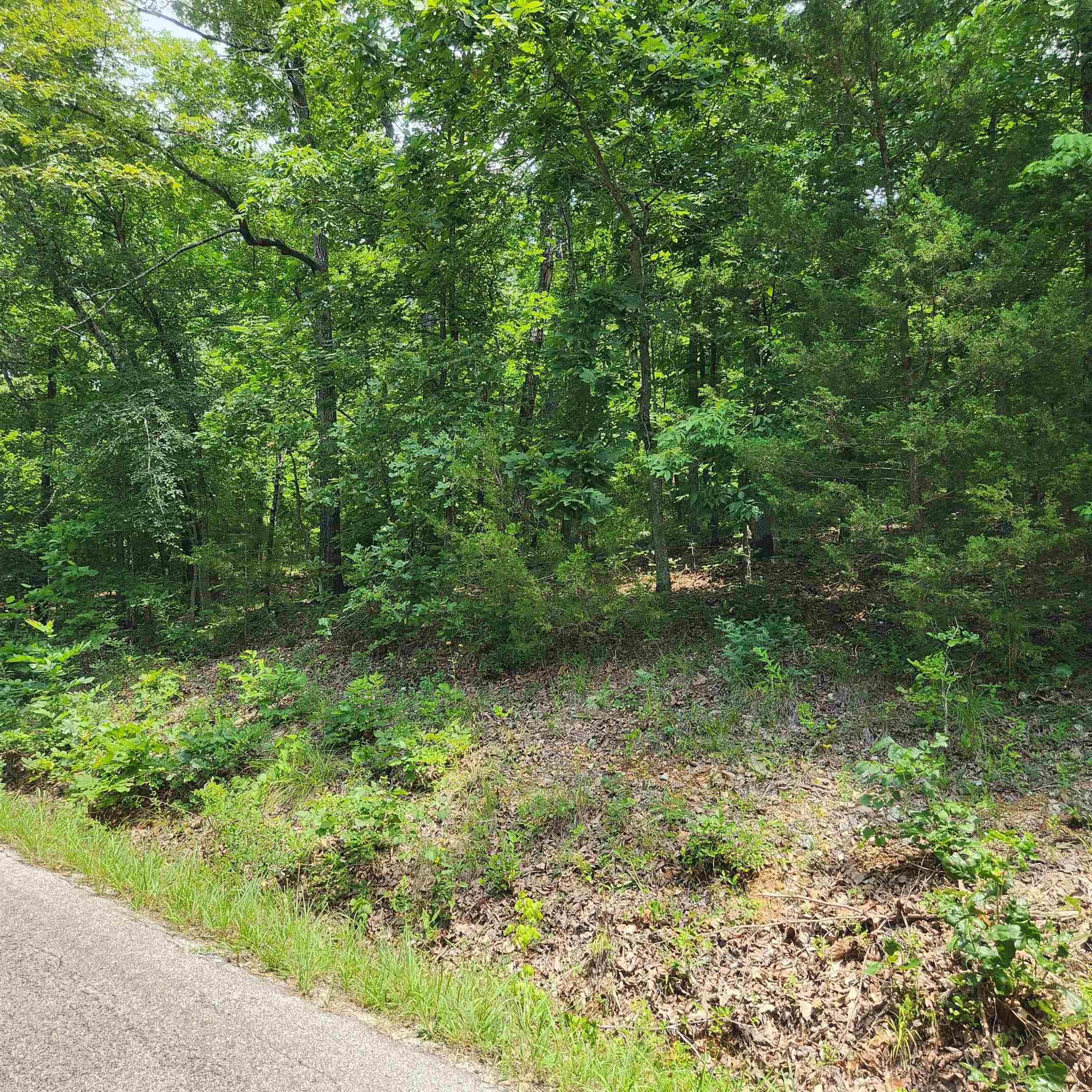 L-15, B-13A Cochise  Cherokee Village, AR