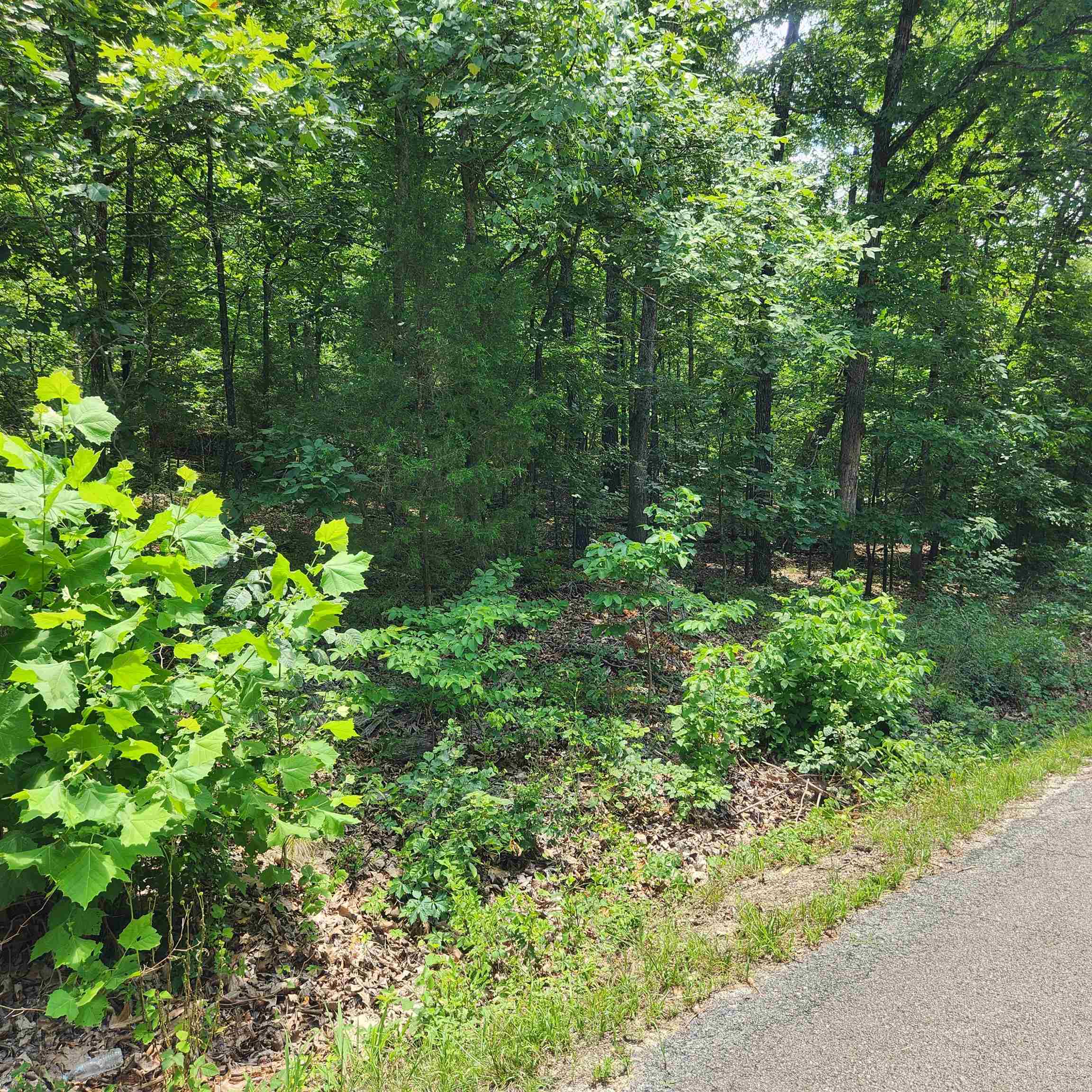 L-15, B-13A Cochise  Cherokee Village, AR