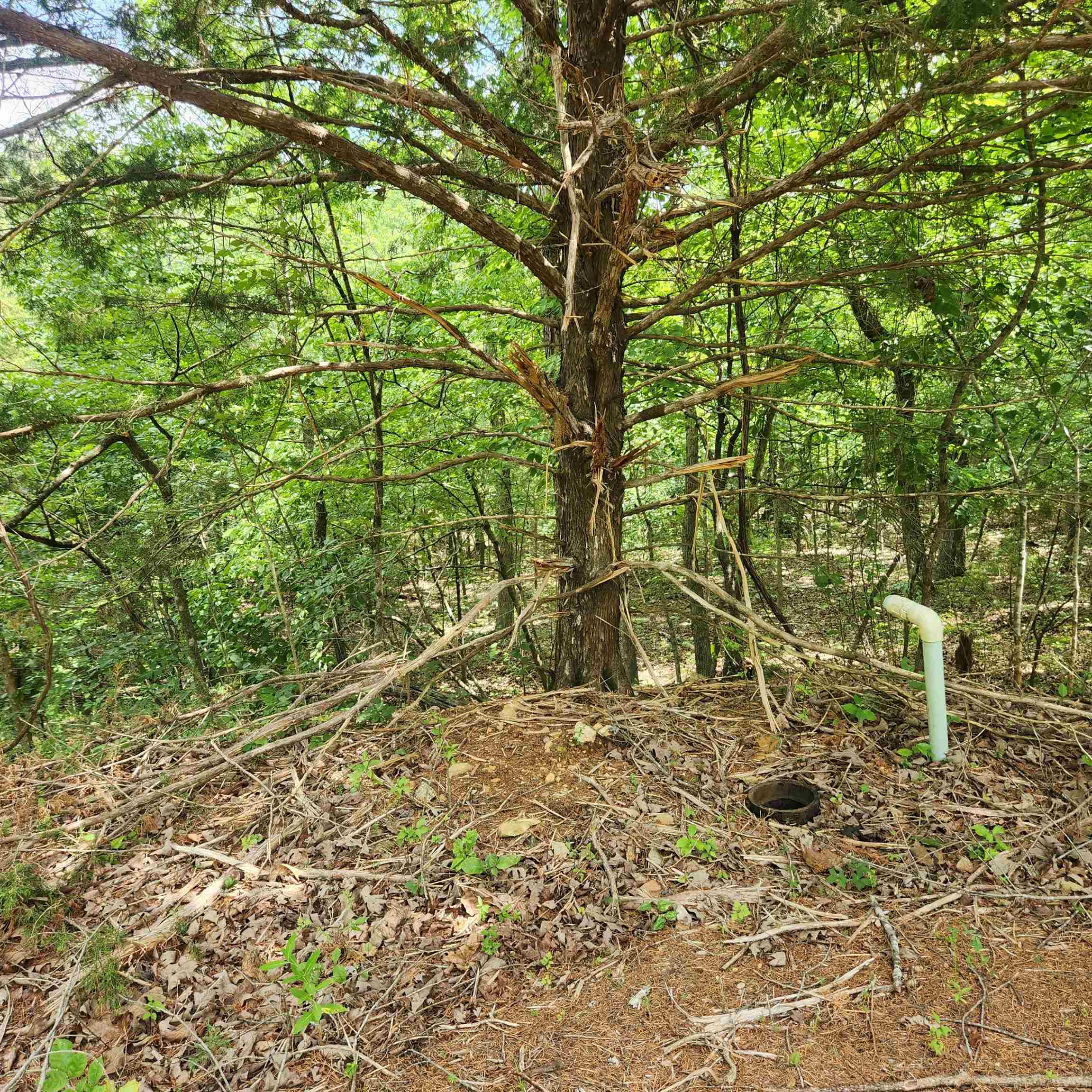 L-67, B-18 Impa  Cherokee Village, AR