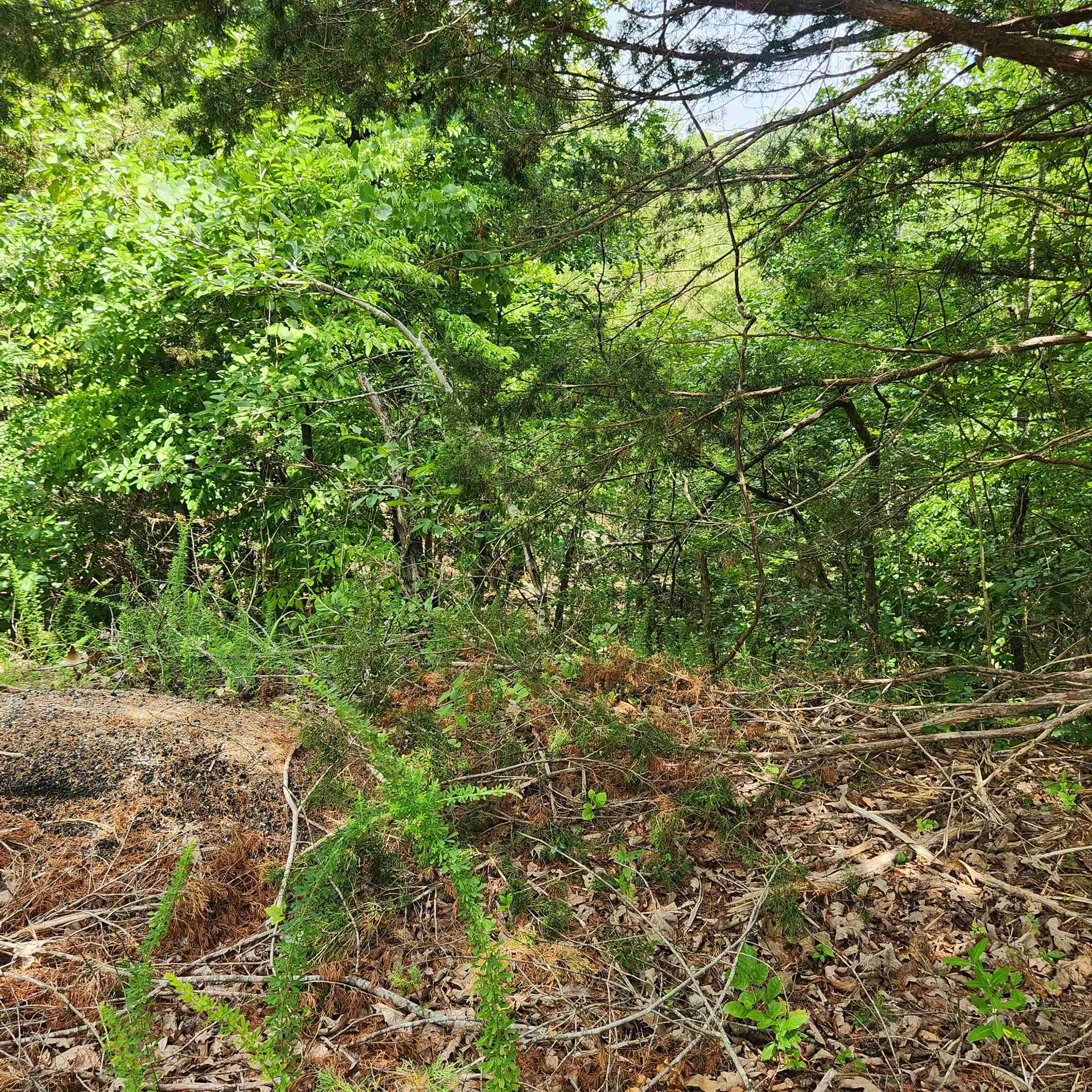 L-67, B-18 Impa  Cherokee Village, AR