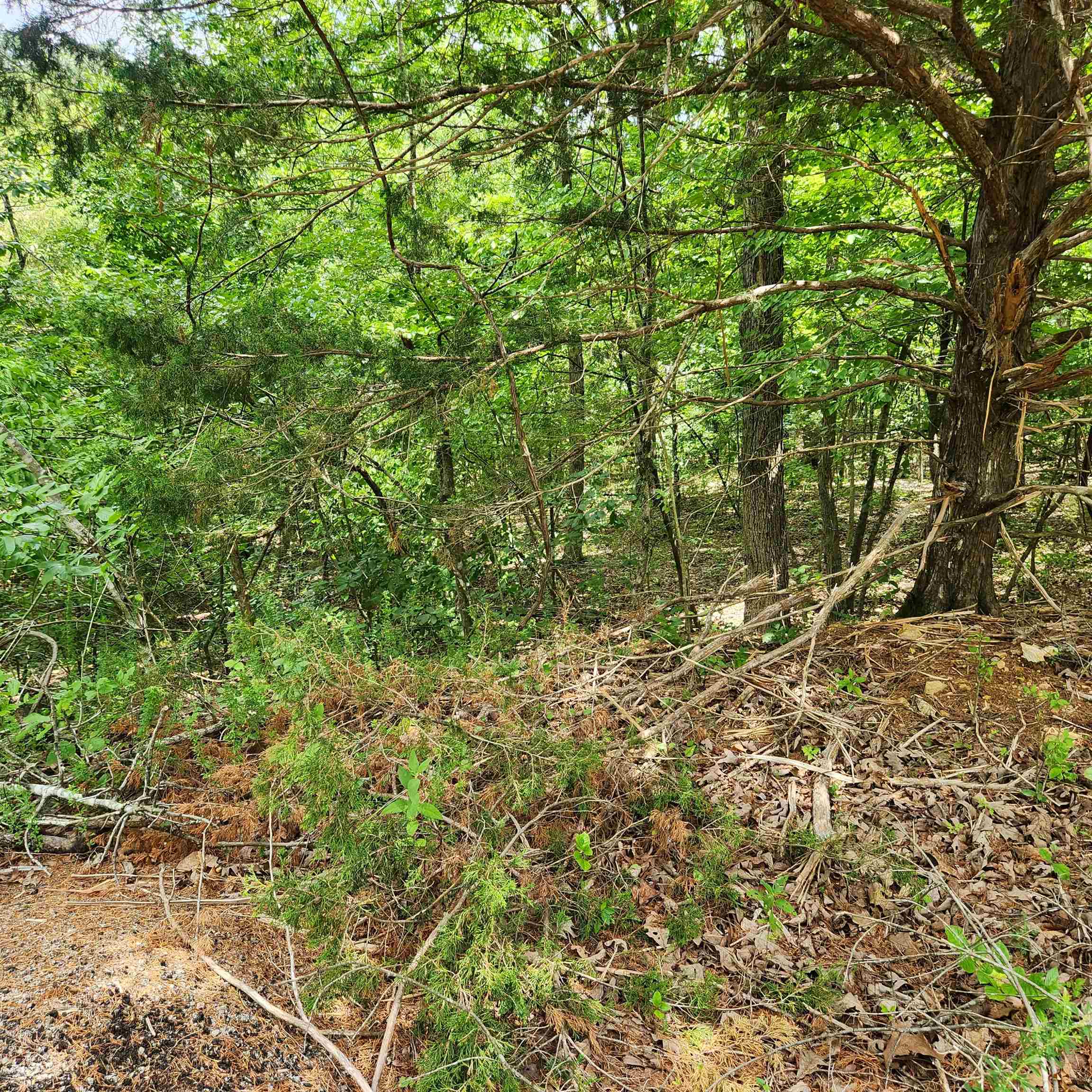 L-67, B-18 Impa  Cherokee Village, AR