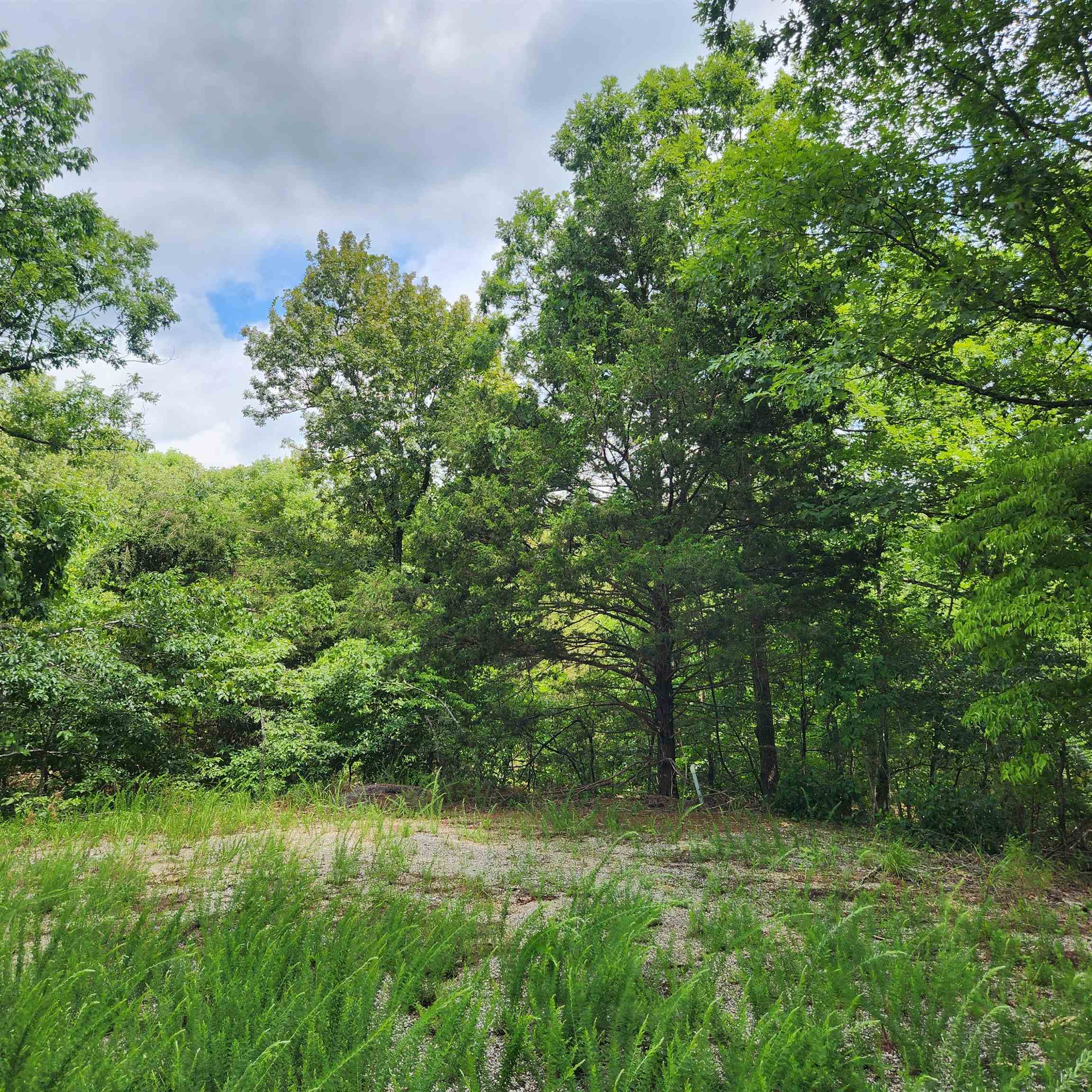 L-67, B-18 Impa  Cherokee Village, AR