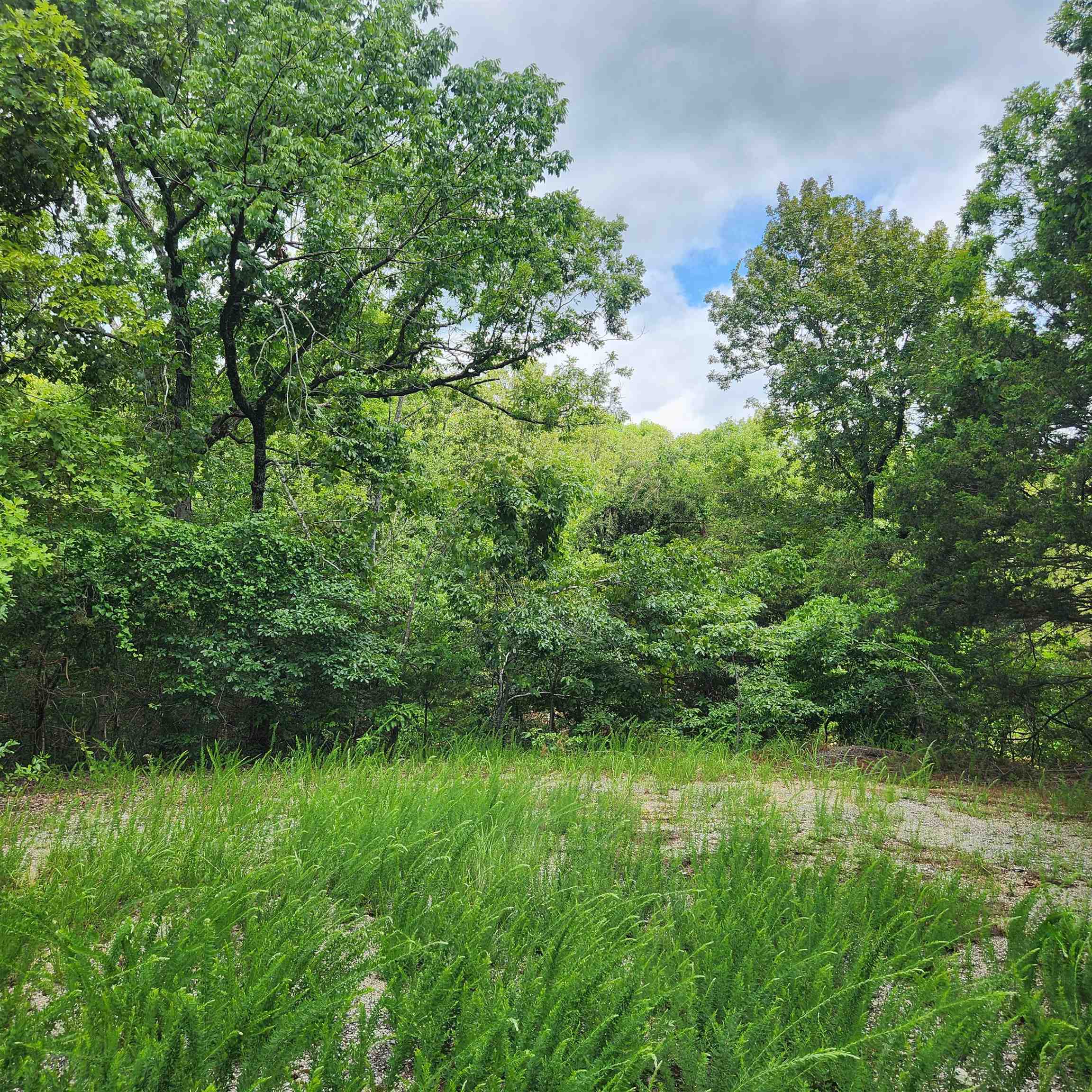 L-67, B-18 Impa  Cherokee Village, AR
