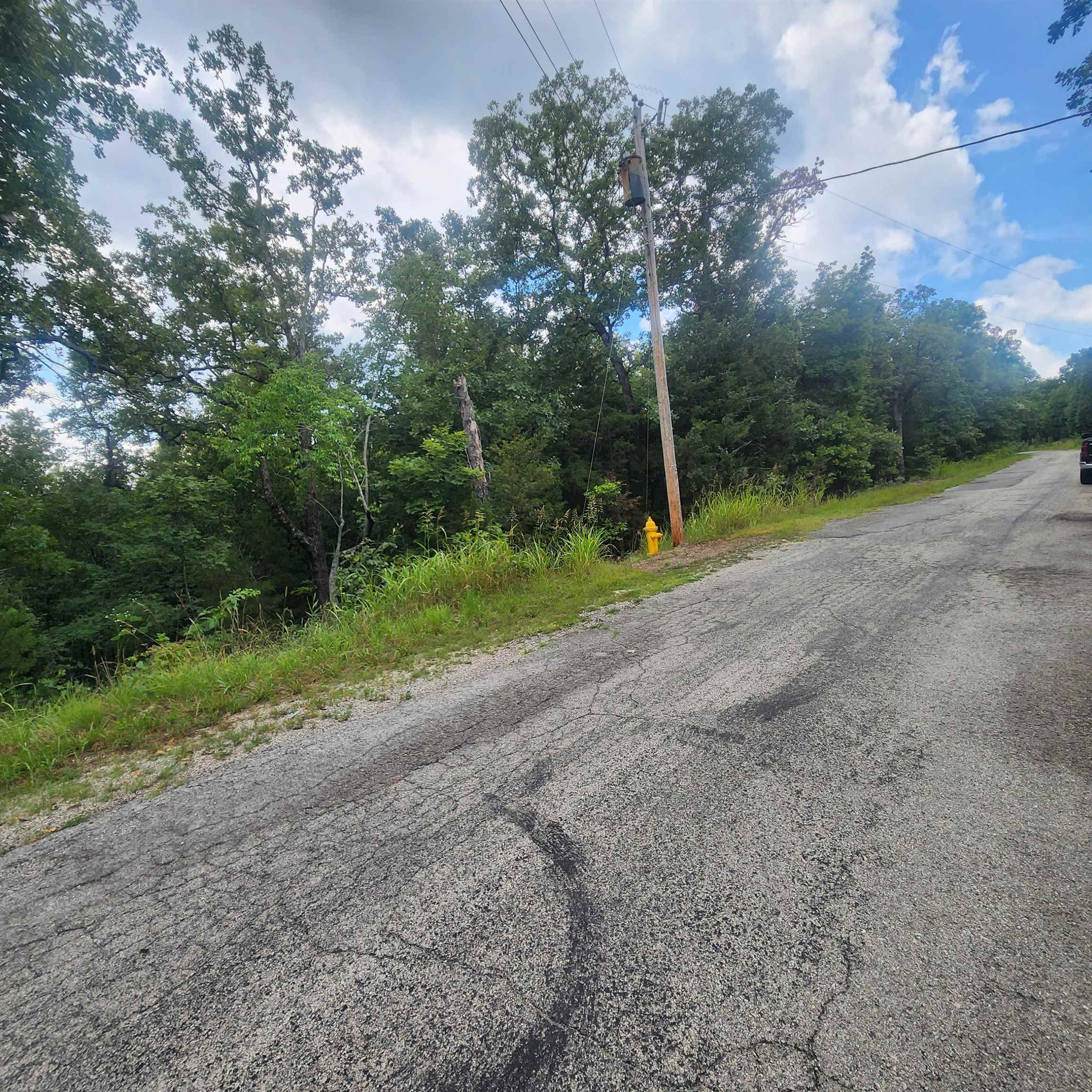 L-38 B-4 Topez  Cherokee Village, AR