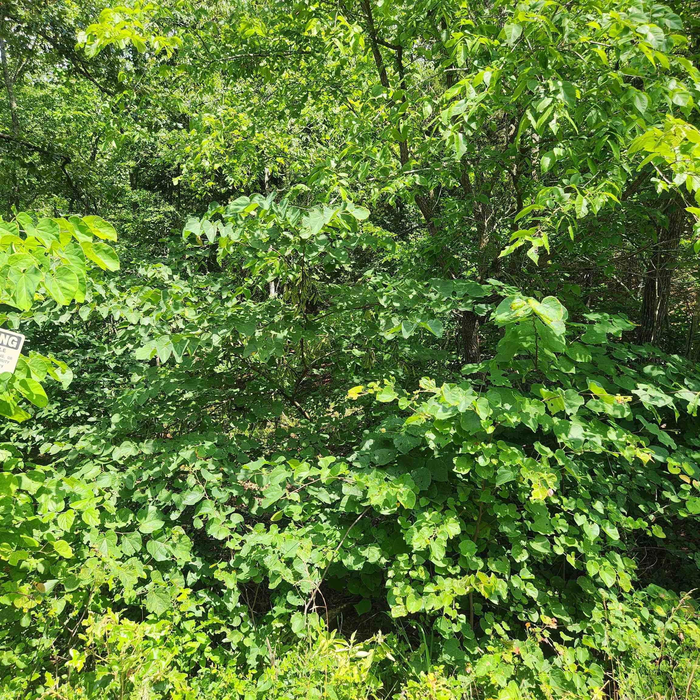 L-70, B-7 Otalco  Cherokee Village, AR