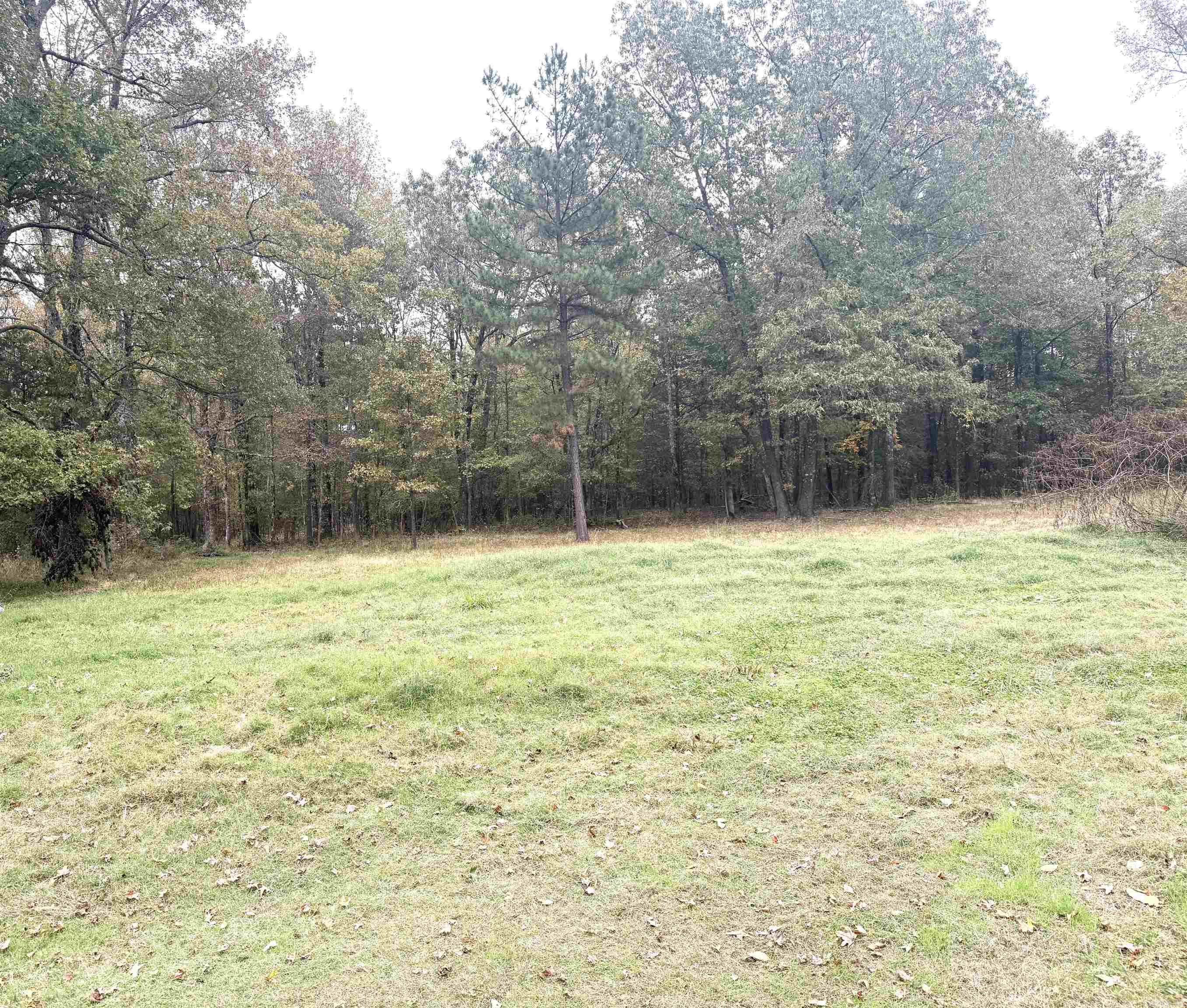 27 Hosman Lane Greenbrier, AR 72058