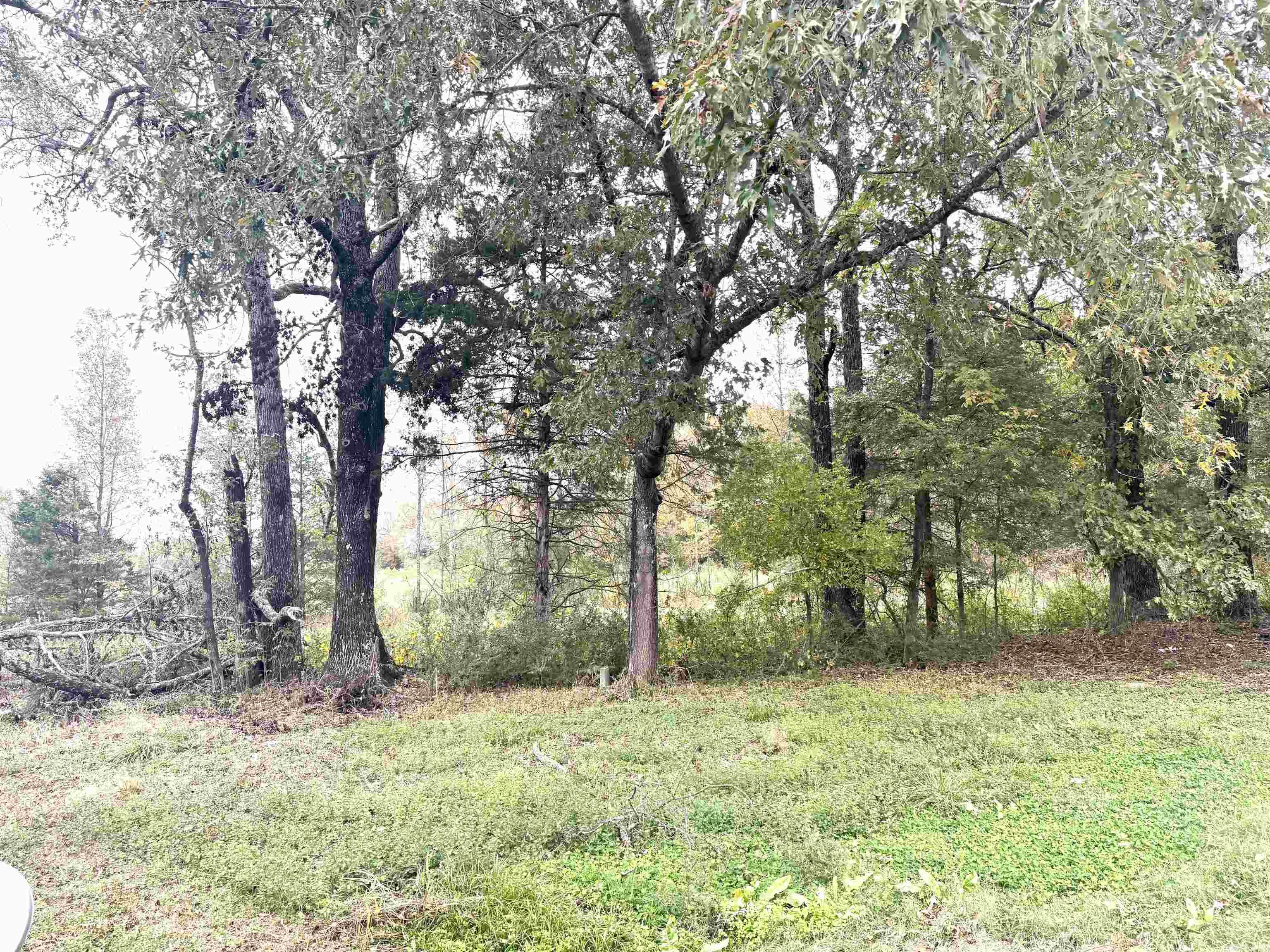 27 Hosman Lane Greenbrier, AR 72058