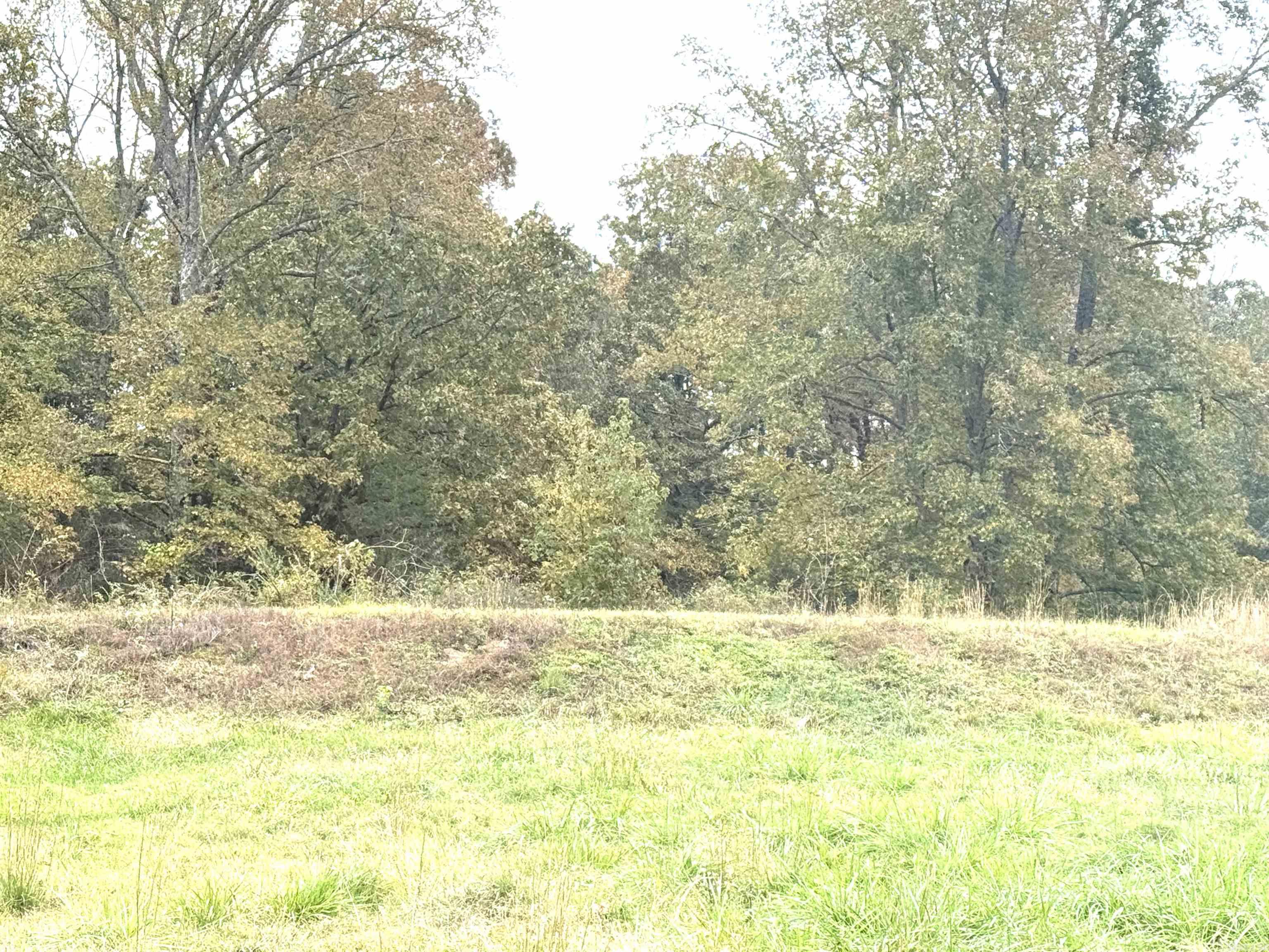 27 Hosman Lane Greenbrier, AR 72058