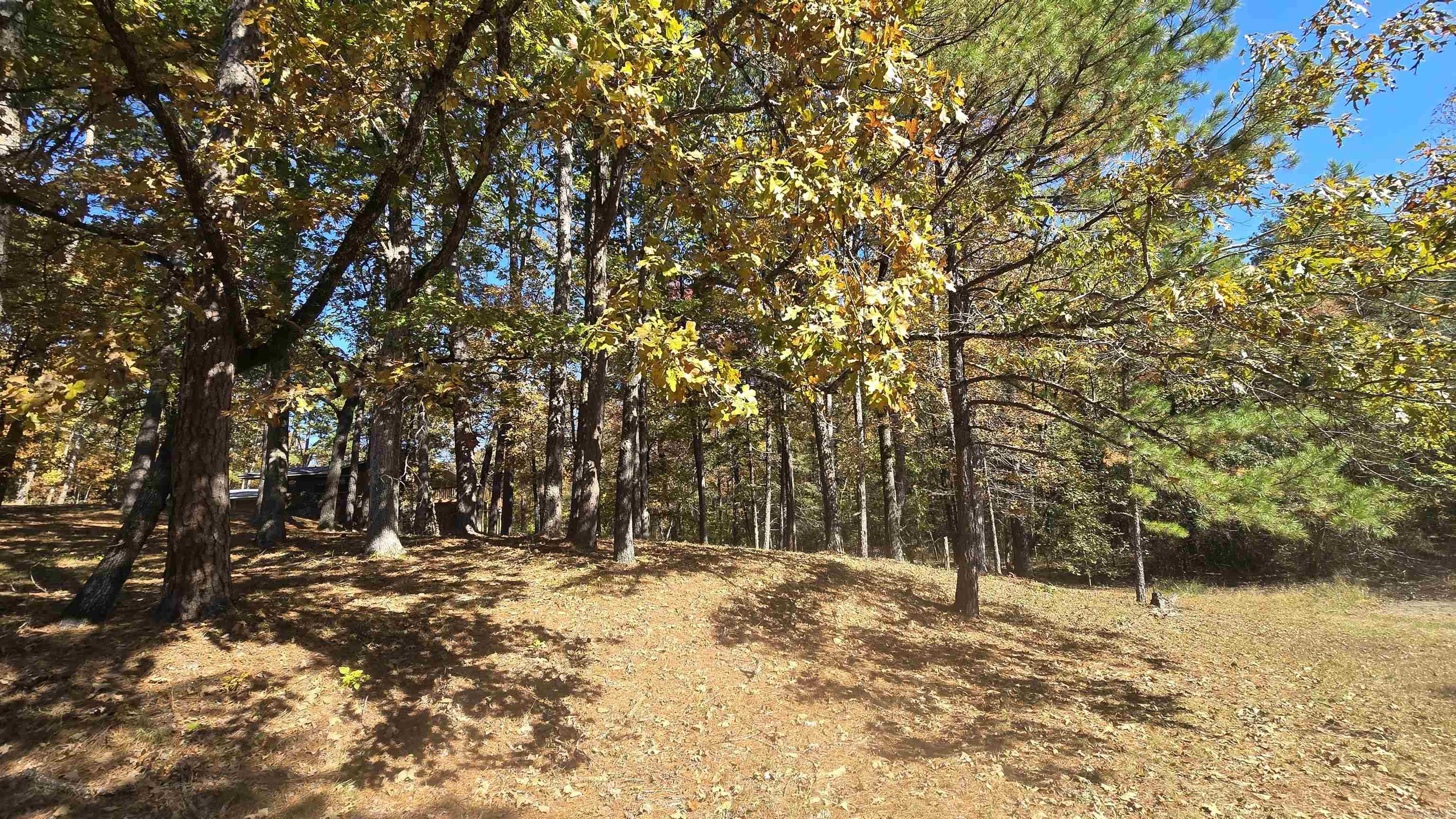 5225 Burnt Ridge Road Shirley, AR 72153