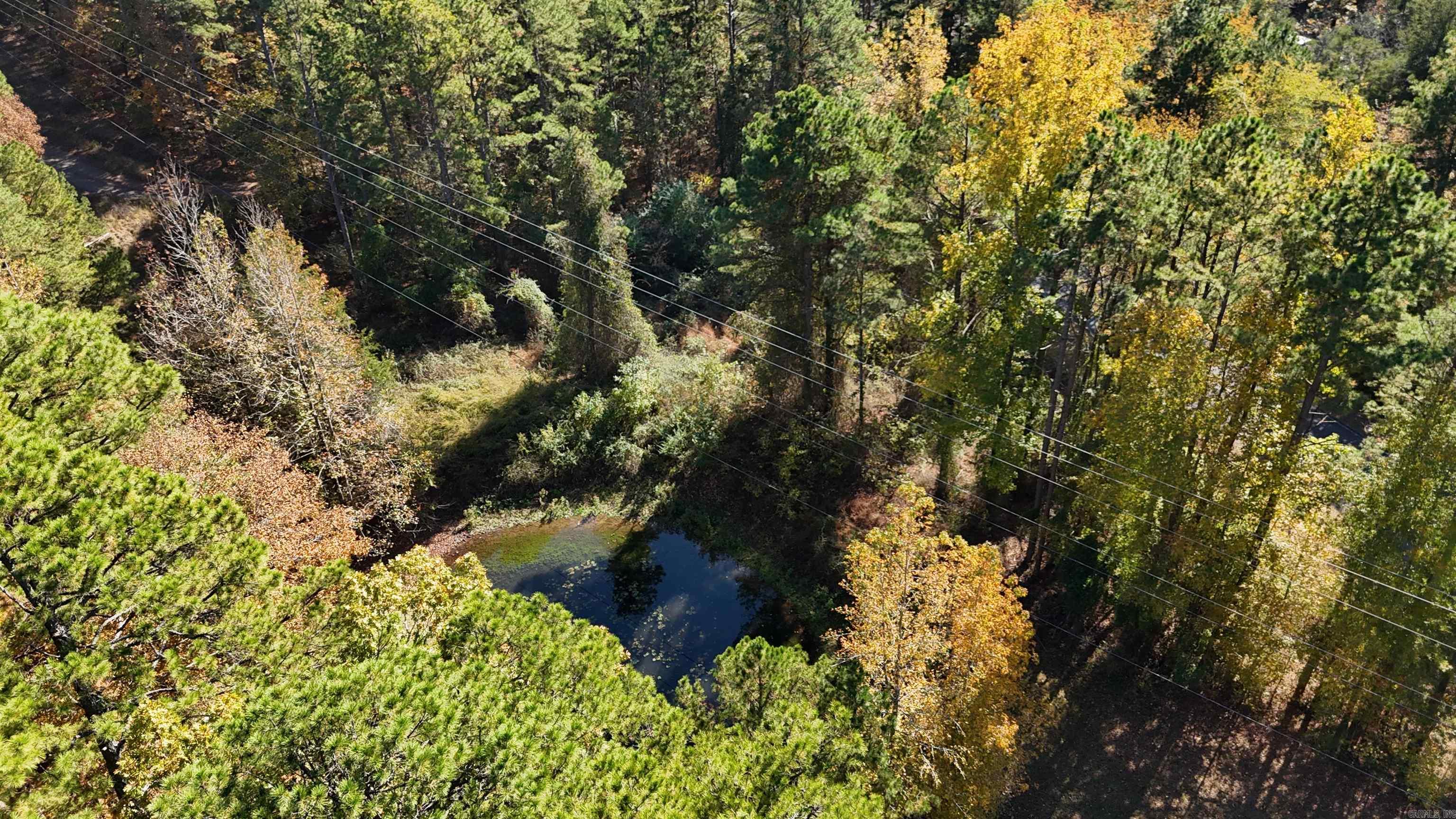 5225 Burnt Ridge Road Shirley, AR 72153