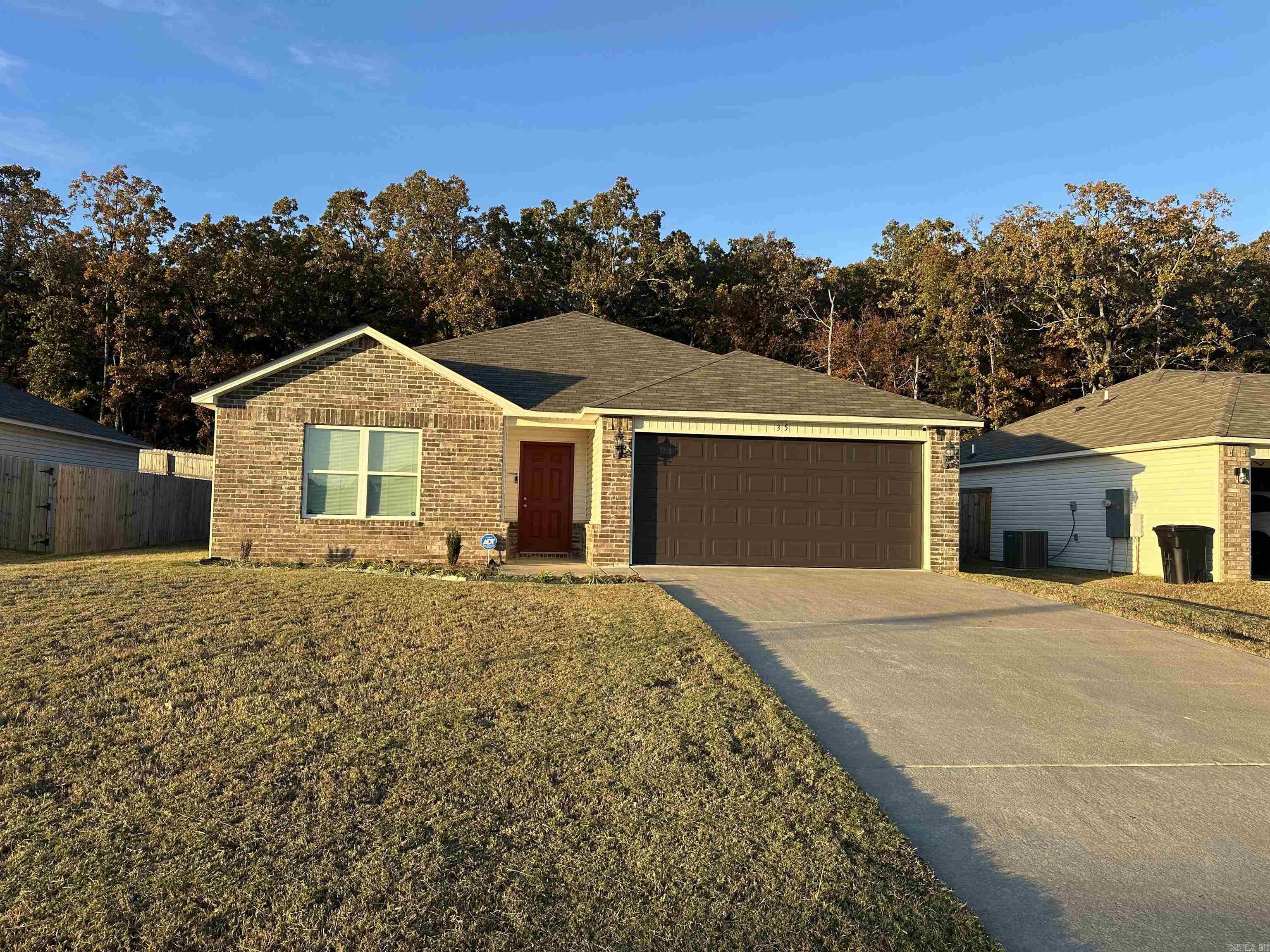 35  Barn Cat  Conway, AR