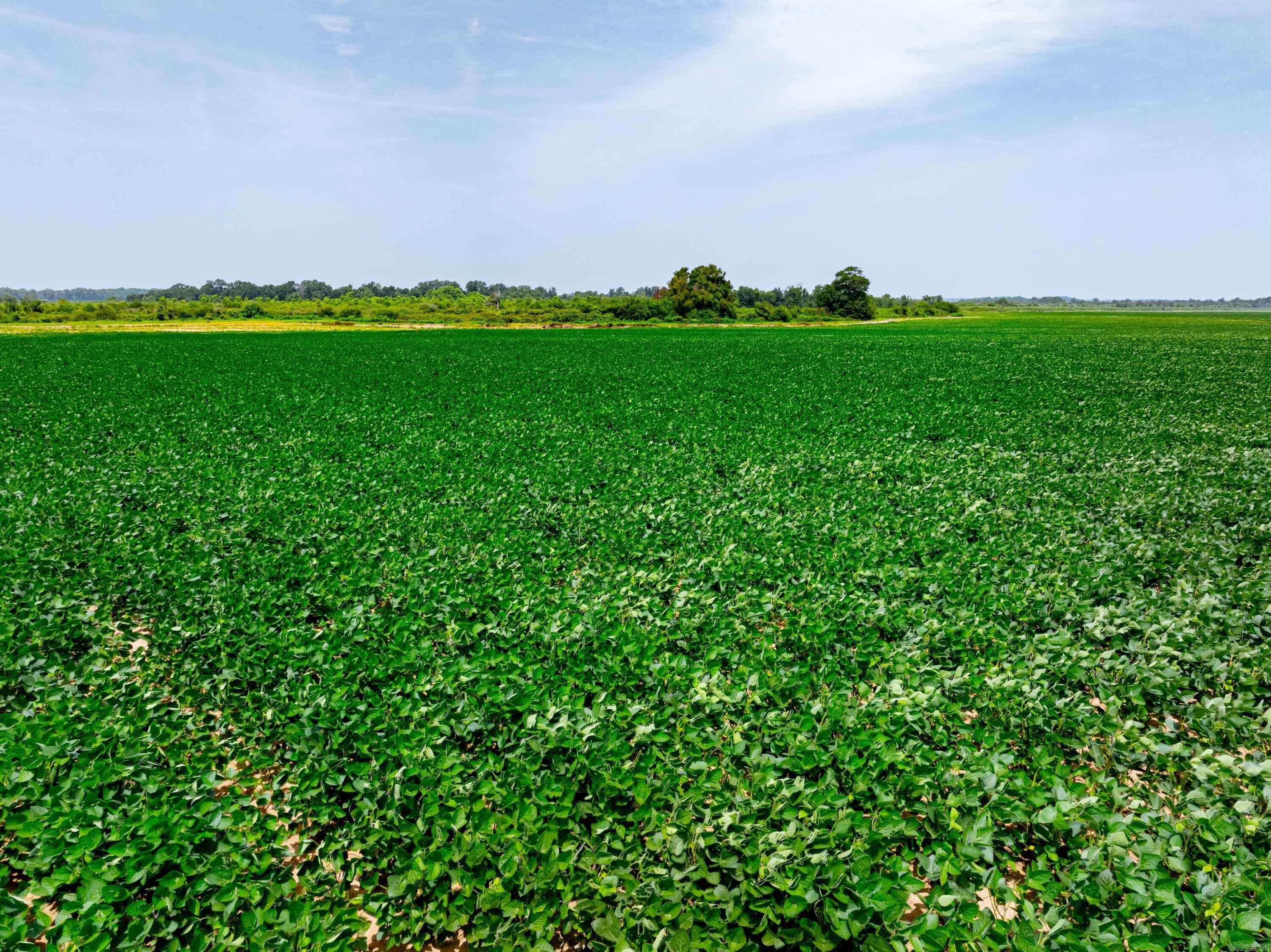  CO 155  Fair Oaks, AR