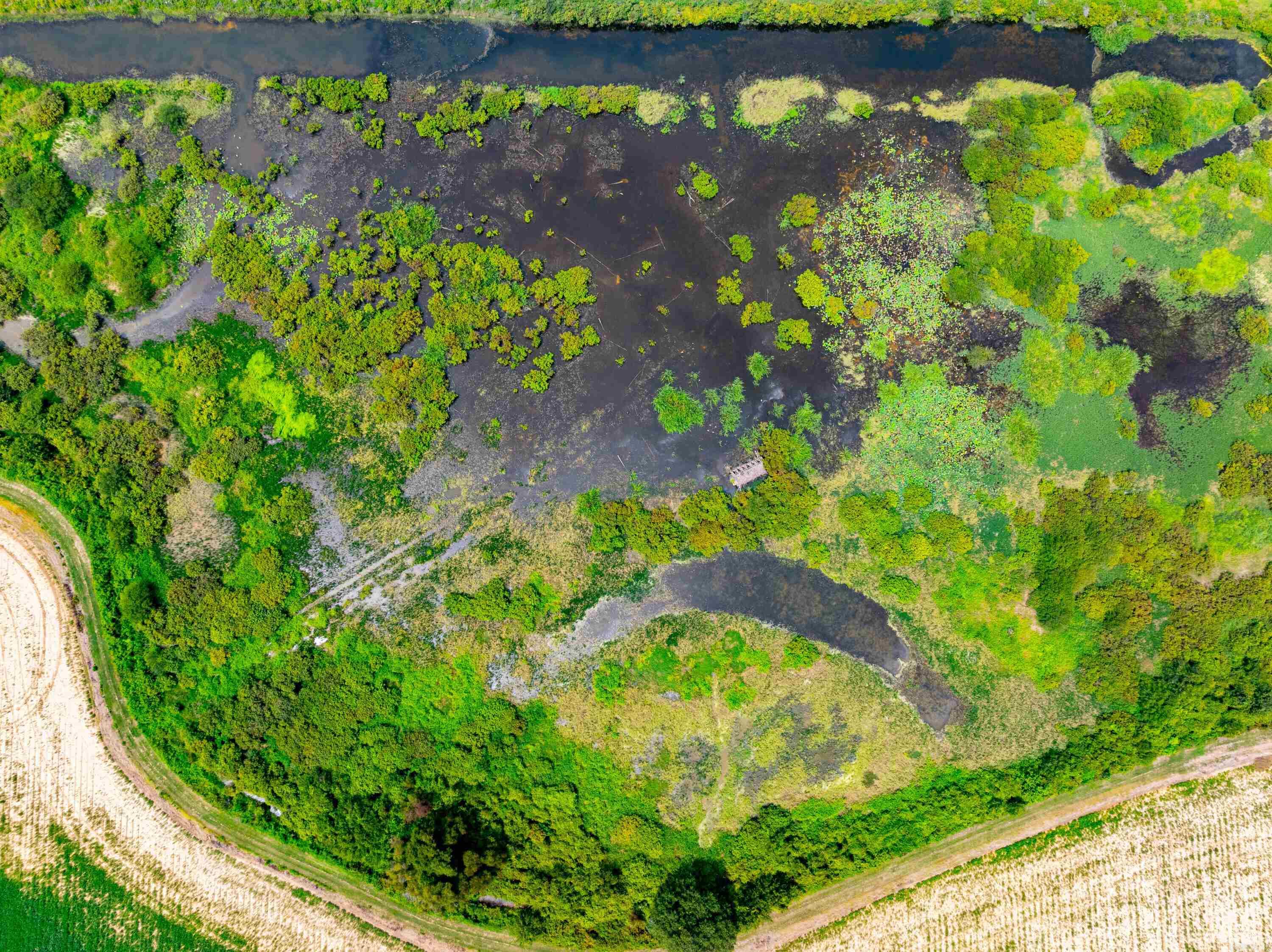  CO 155  Fair Oaks, AR