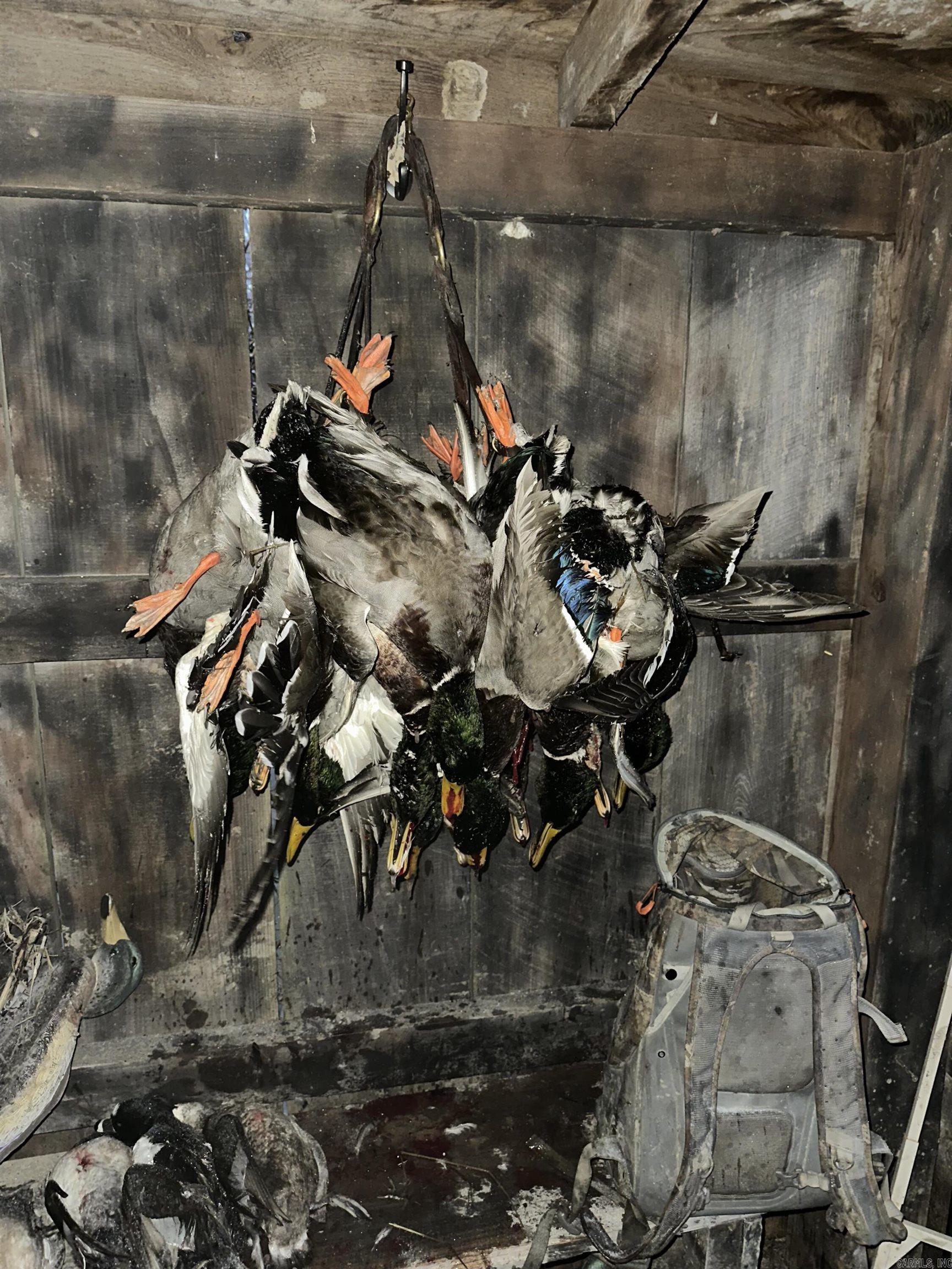  CO 155  Fair Oaks, AR