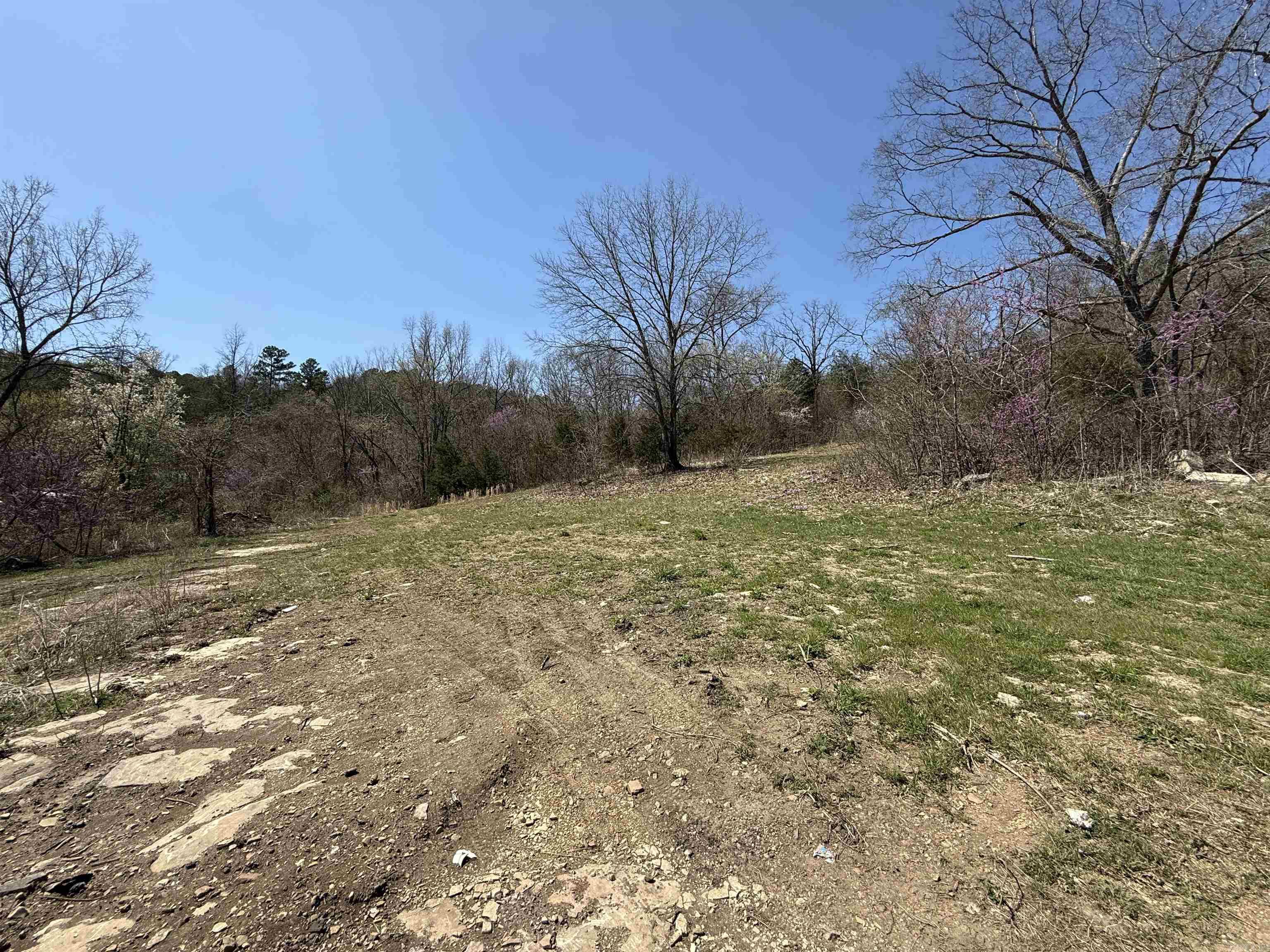 109 CR 227 Calico Rock, AR 72519