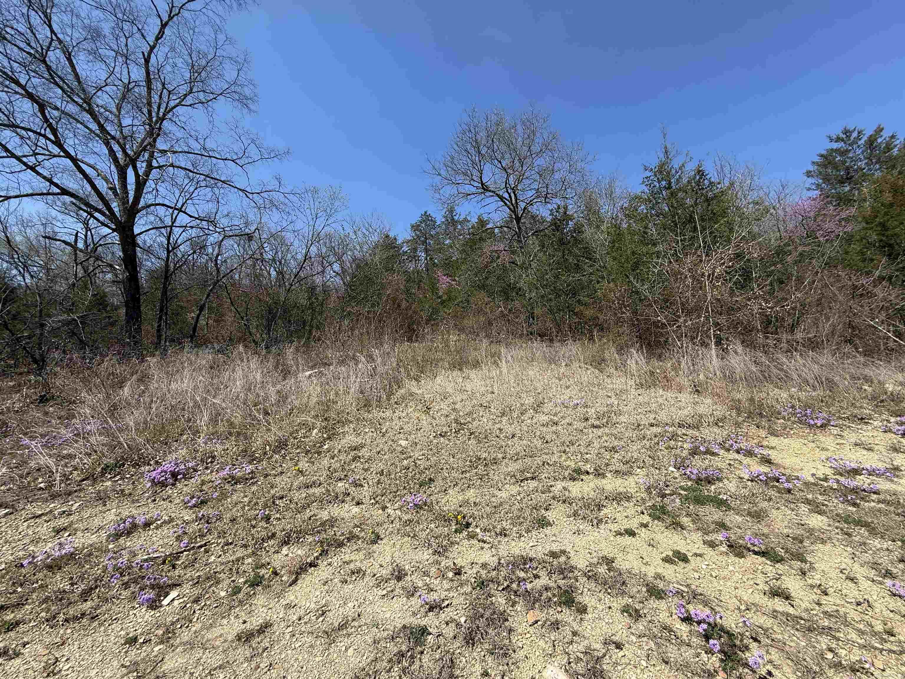 109 CR 227 Calico Rock, AR 72519